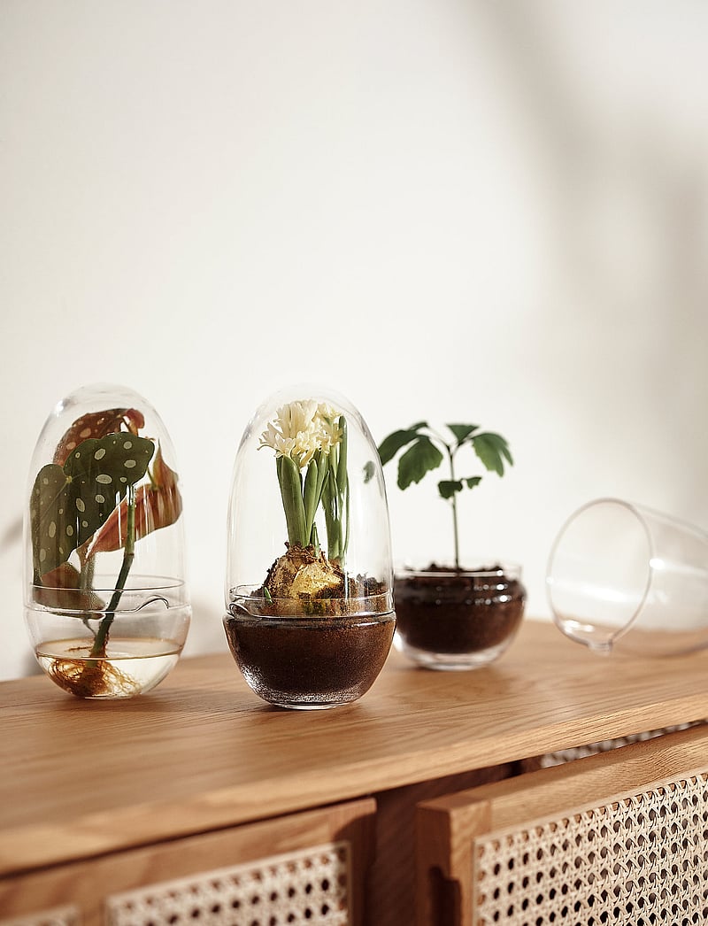 Design House Stockholm - Grow Greenhouse Medium - sõbrapäeva kingitused - clear - 0