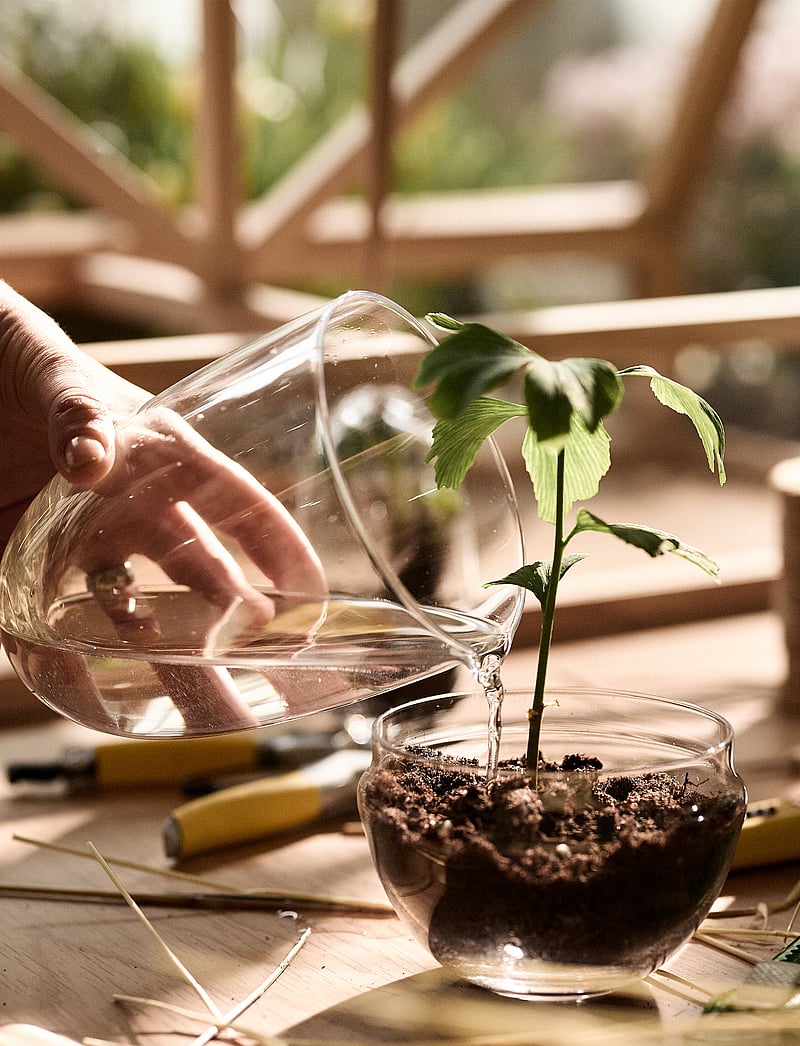 Design House Stockholm - Grow Greenhouse Medium - sõbrapäeva kingitused - clear - 4