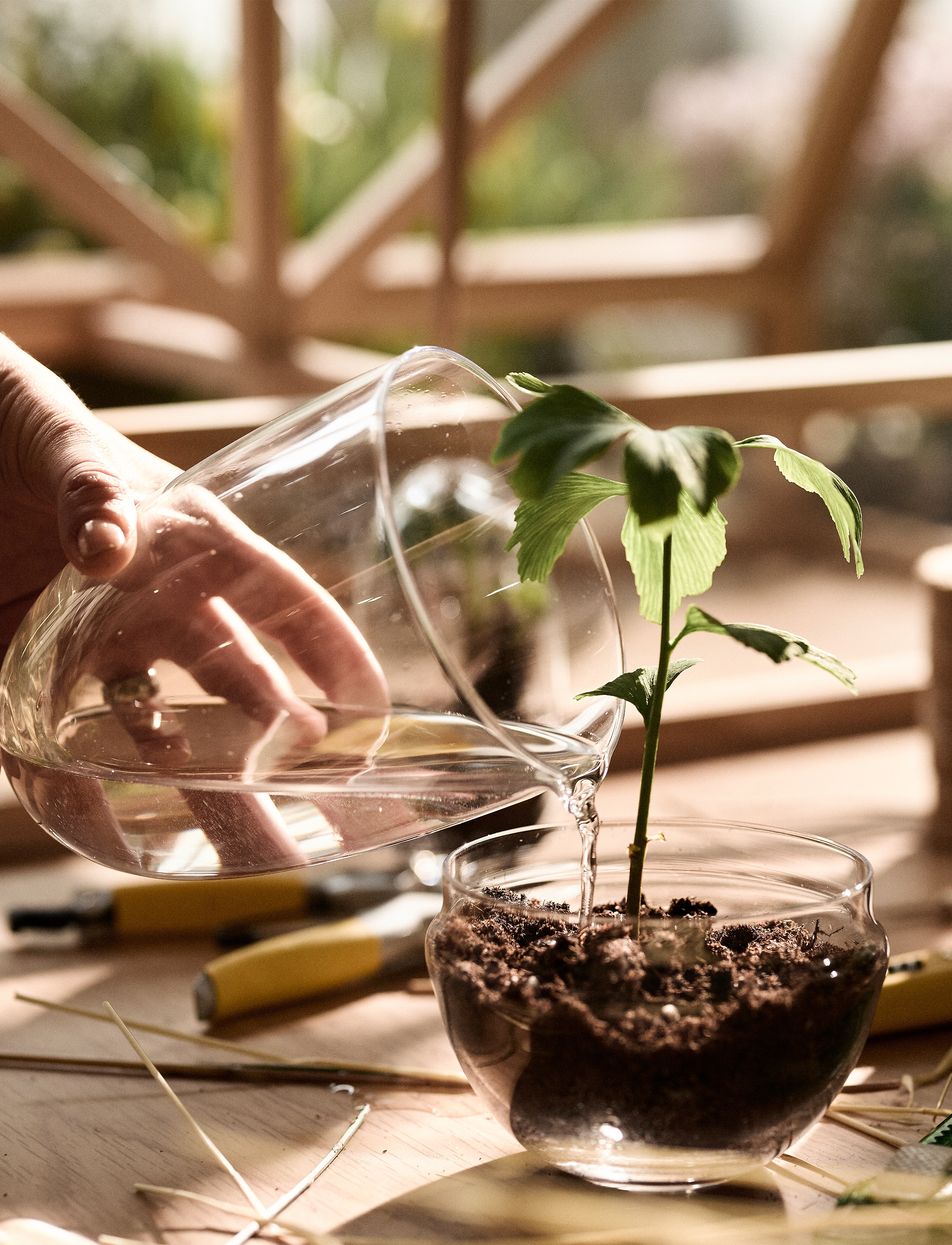 Design House Stockholm - Grow Greenhouse Medium - sõbrapäeva kingitused - clear - 4