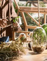 Design House Stockholm - Grow Greenhouse Medium - große vasen - clear - 5