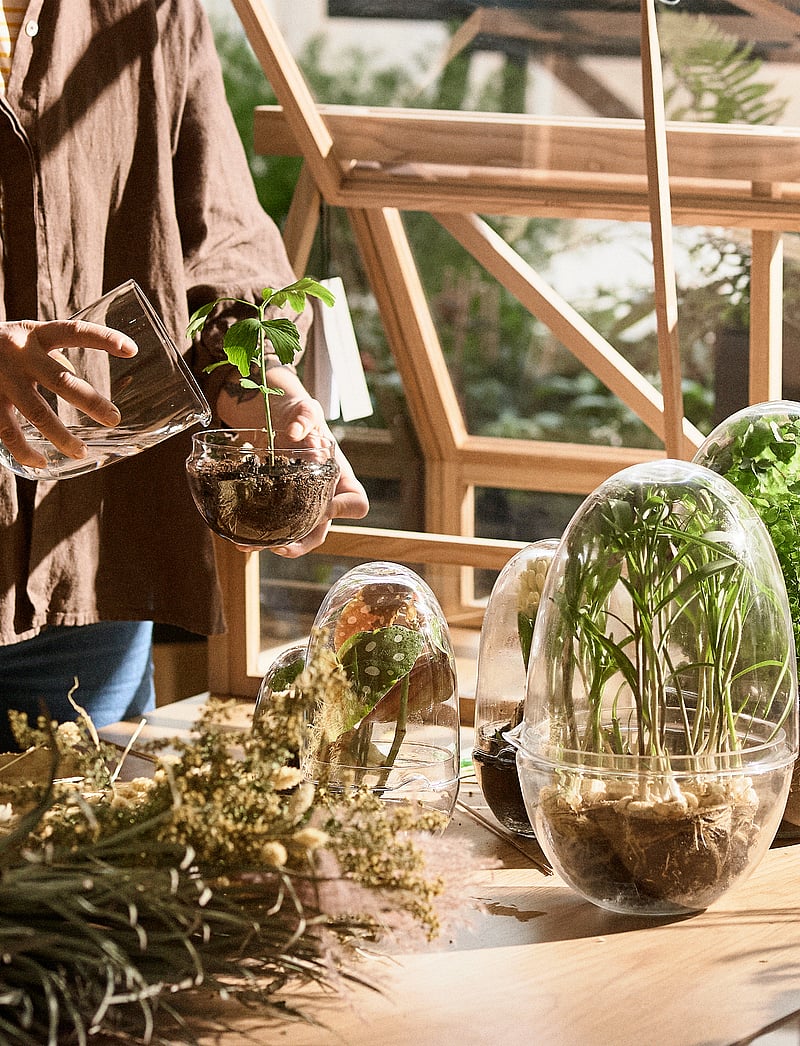 Design House Stockholm - Grow Greenhouse Medium - sõbrapäeva kingitused - clear - 5