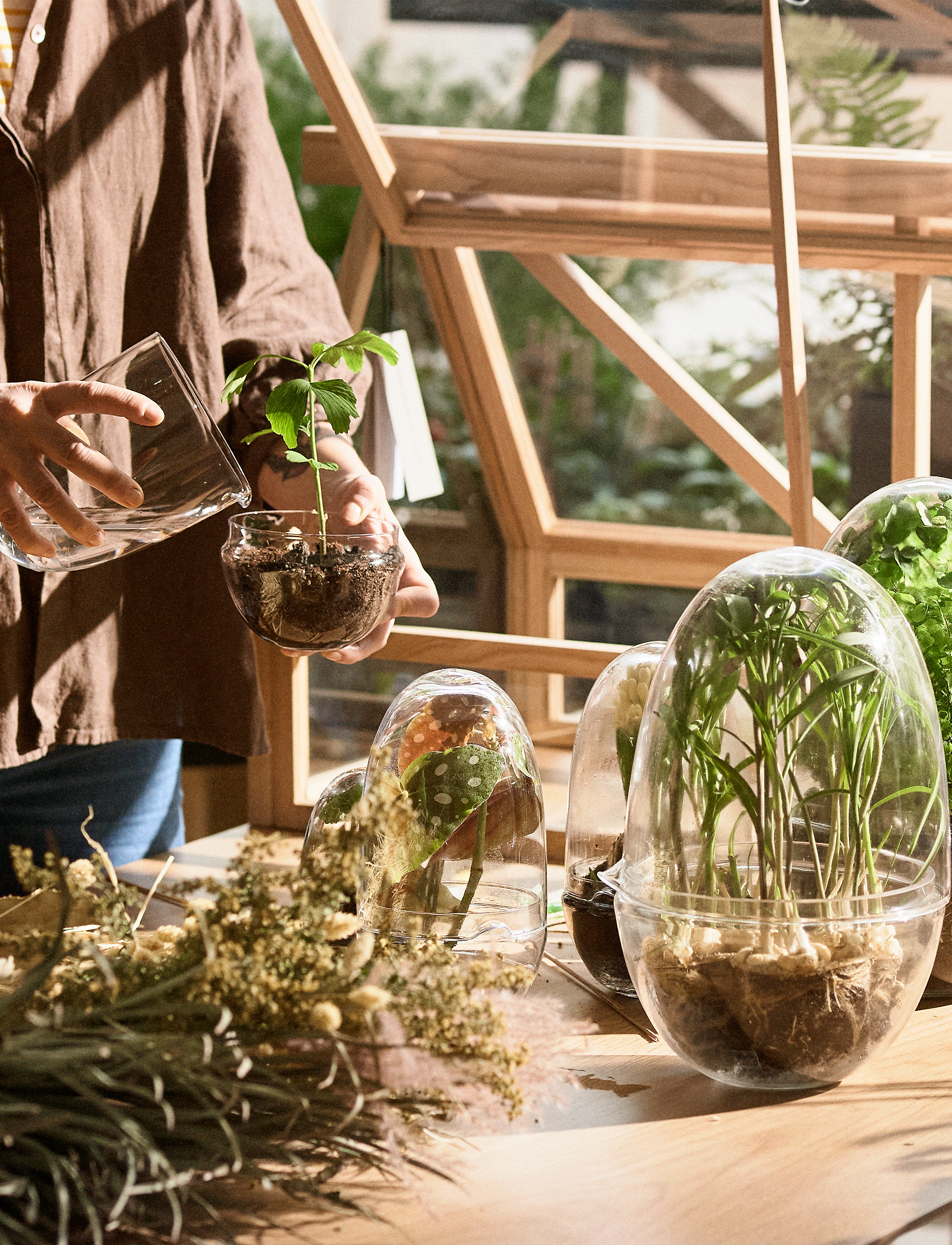 Design House Stockholm - Grow Greenhouse Medium - sõbrapäeva kingitused - clear - 5