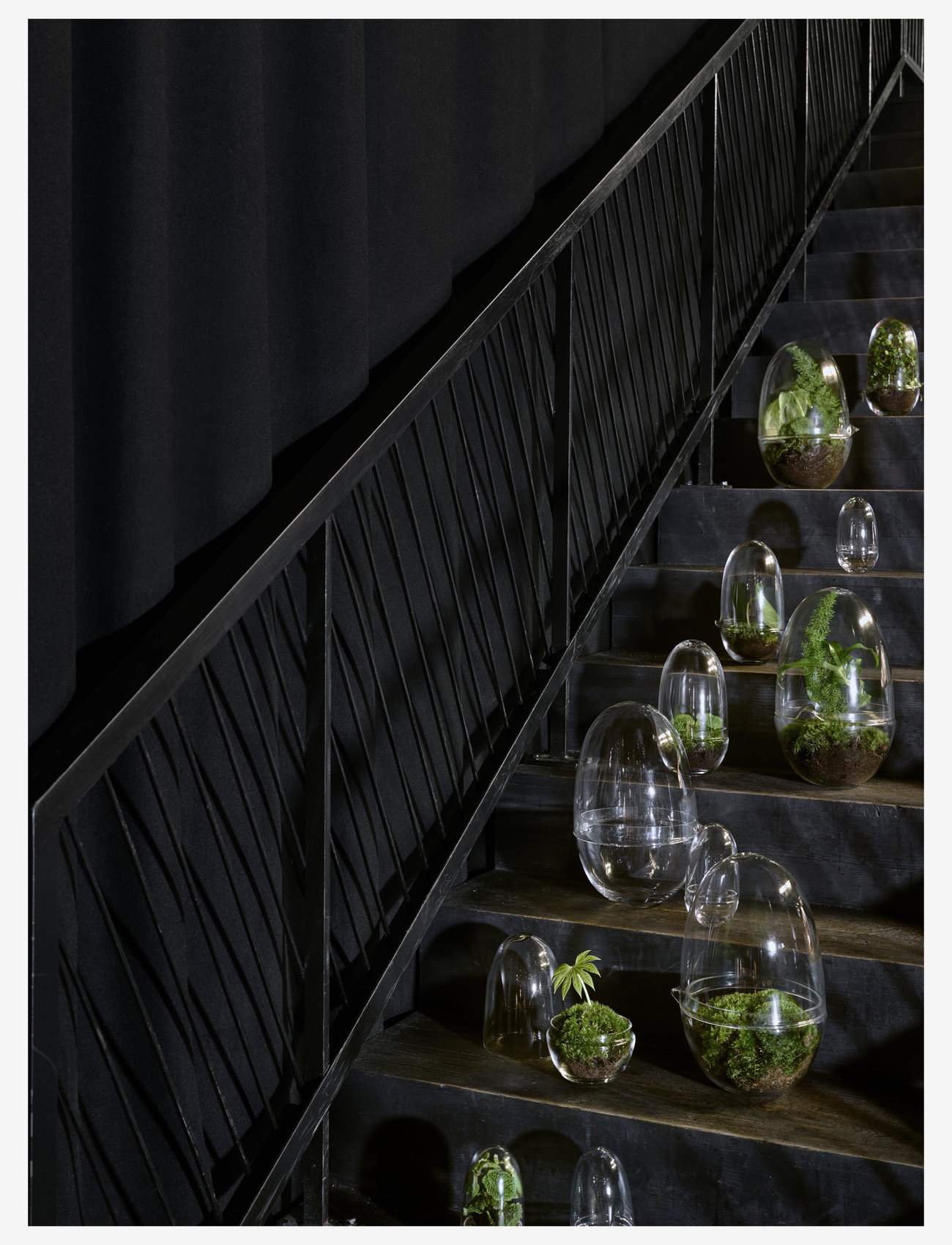 Design House Stockholm - Grow Greenhouse Medium - osta hinnan perusteella - clear - 2
