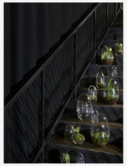 Design House Stockholm - Grow Greenhouse Medium - big vases - clear - 2