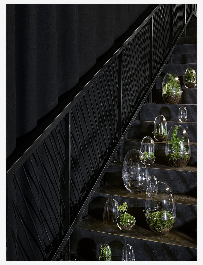 Design House Stockholm - Grow Greenhouse Medium - sõbrapäeva kingitused - clear - 3