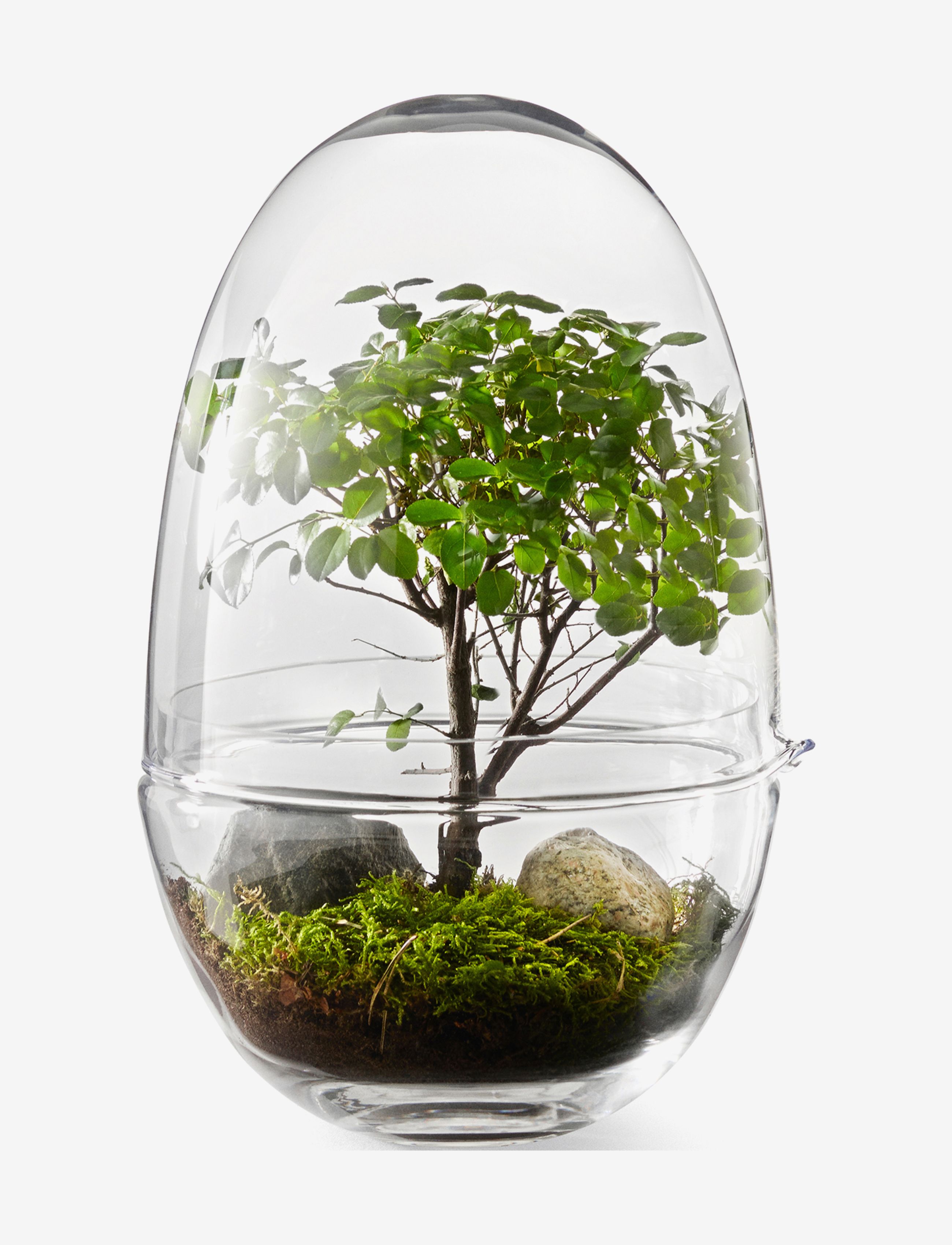 Design House Stockholm Grow Greenhouse Large, Stor vase, Nude, Str: H32CM
