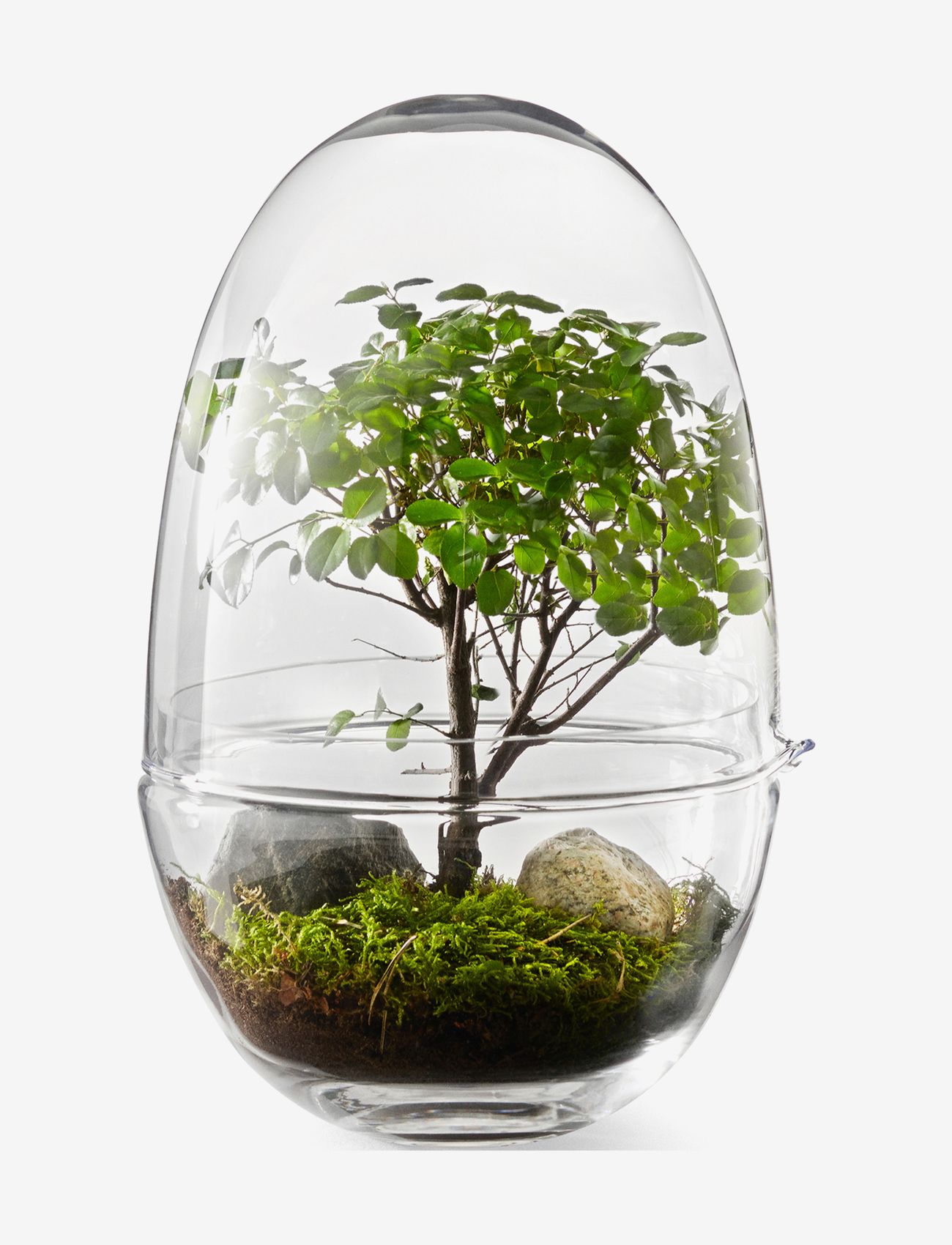 Design House Stockholm - Grow Greenhouse  Large - stora vaser - clear - 0