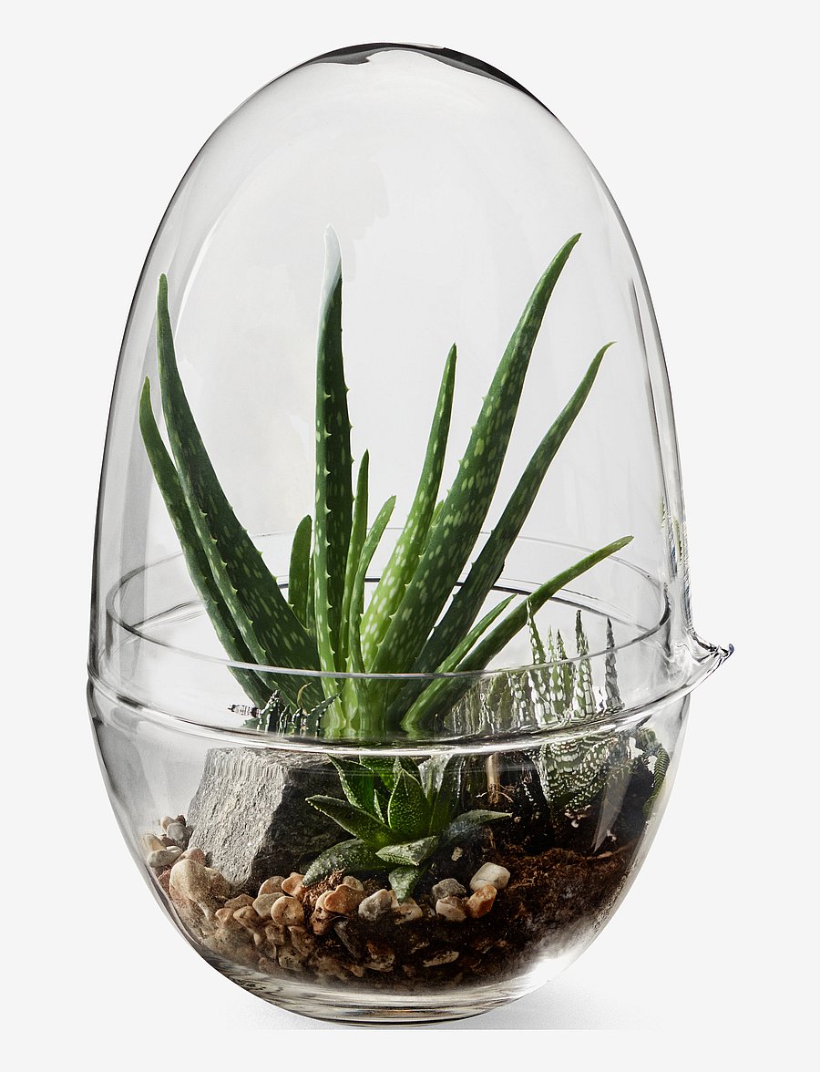 Design House Stockholm - Grow Greenhouse Large - sõbrapäeva kingitused - clear - 2