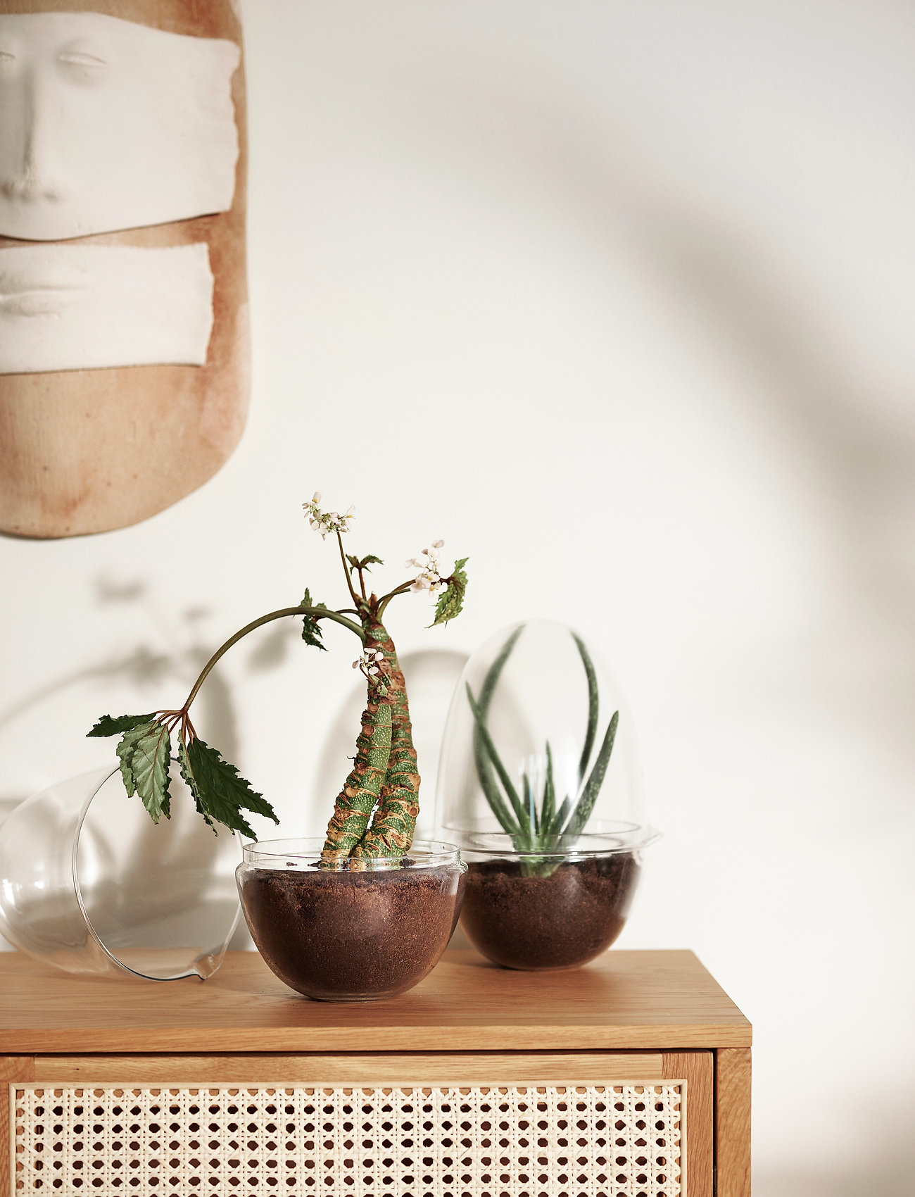 Design House Stockholm Grow Greenhouse Large, H32 cm, Vases, Nackt - Big Homeware