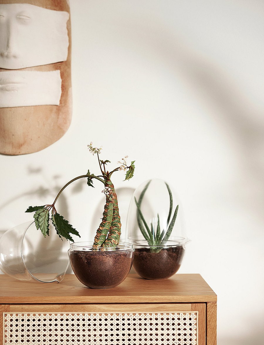 Design House Stockholm - Grow Greenhouse Large - sõbrapäeva kingitused - clear - 0