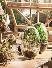 Design House Stockholm - Grow Greenhouse  Large - stora vaser - clear - 4