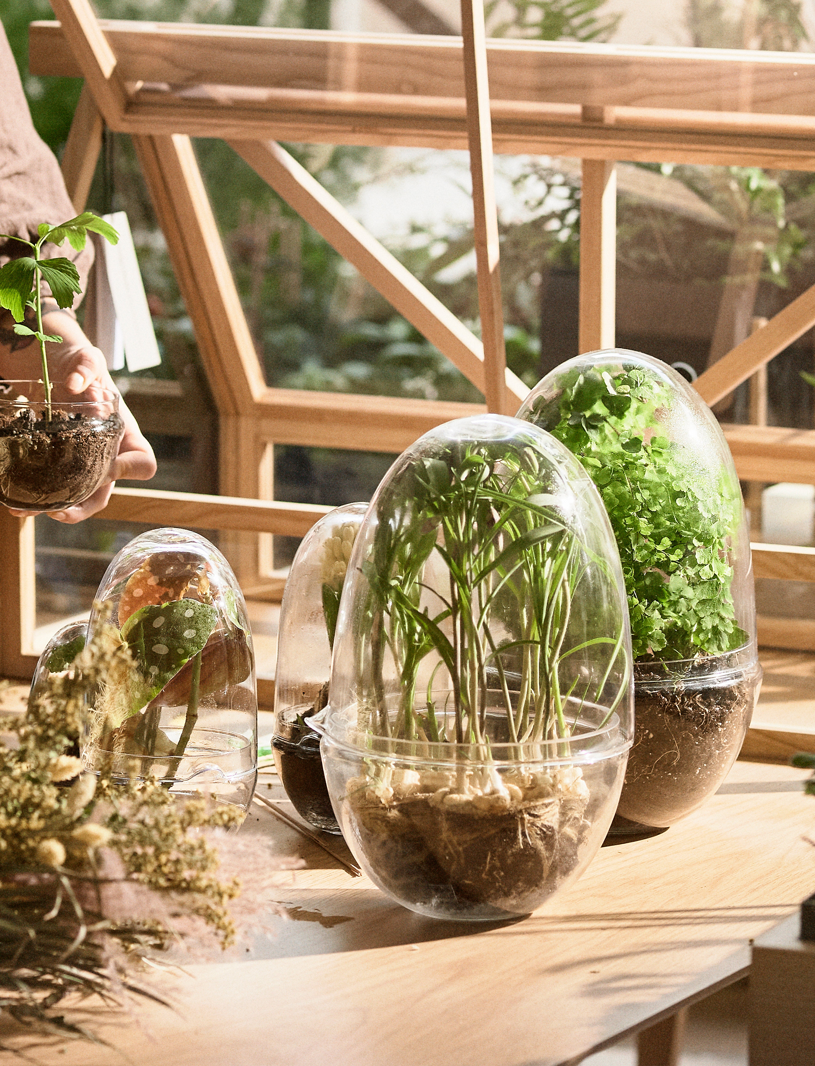 Design House Stockholm - Grow Greenhouse  Large - sõbrapäeva kingitused - clear - 4