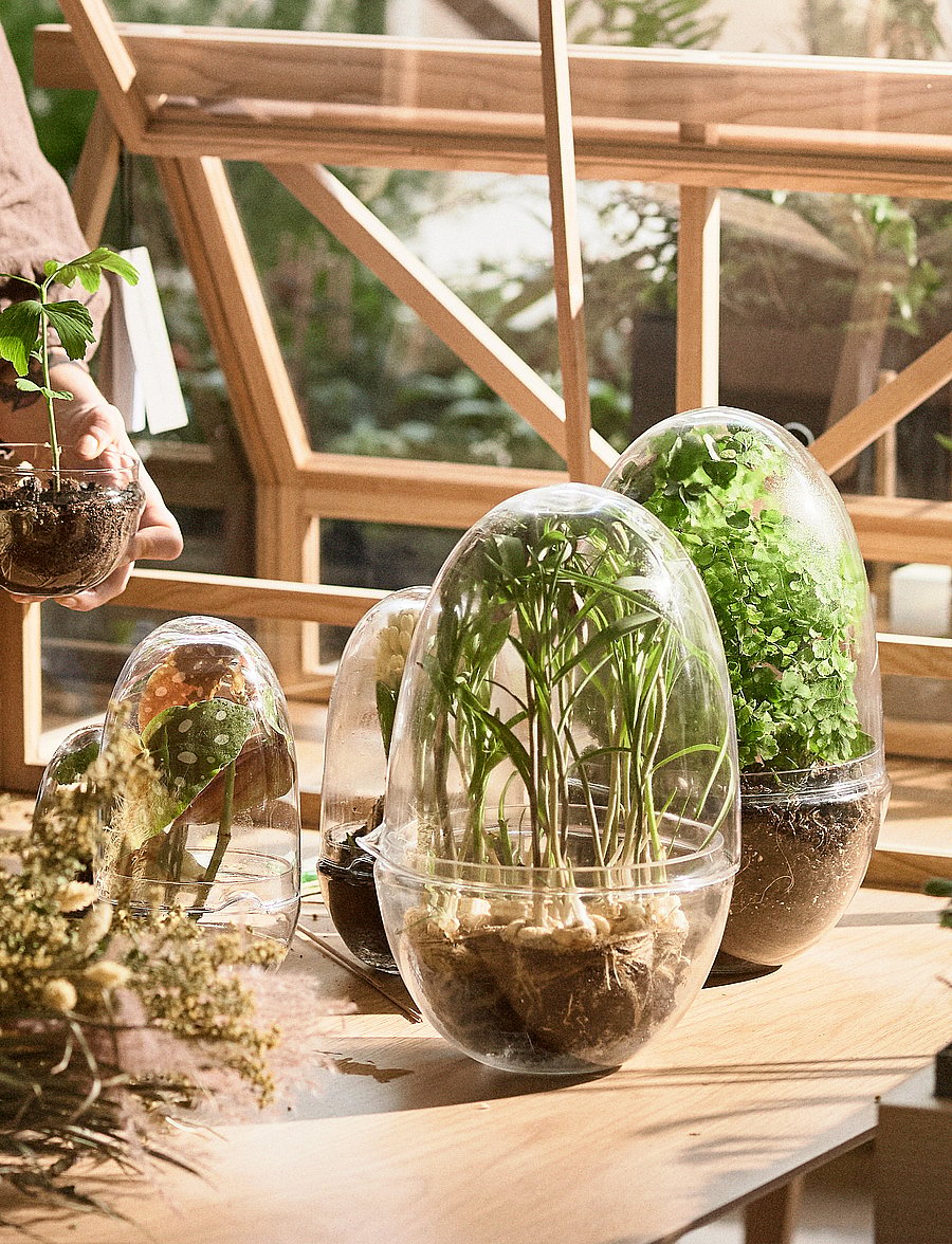 Design House Stockholm - Grow Greenhouse Large - sõbrapäeva kingitused - clear - 4