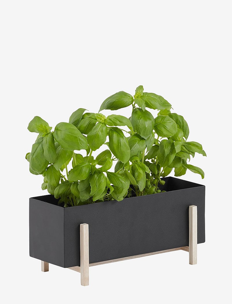 Design House Stockholm - Botanic Herb Box - black/ash - 0