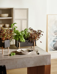 Design House Stockholm - Botanic Herb Box - dzimšanas dienas dāvanas - black/ash - 2