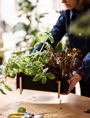 Design House Stockholm - Botanic Herb Box - najniższe ceny - black/ash - 3
