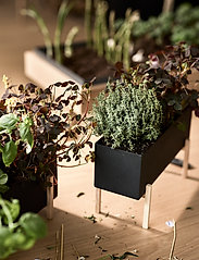 Design House Stockholm - Botanic Herb Box - gimtadienio dovanos - black/ash - 4