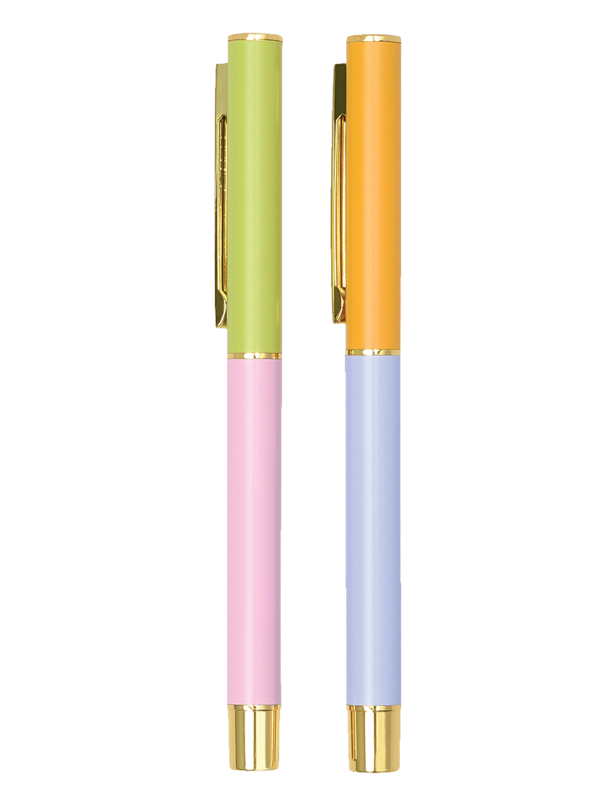 DesignWorks Inc - Color Block Pens (set of 2) - multi - 0