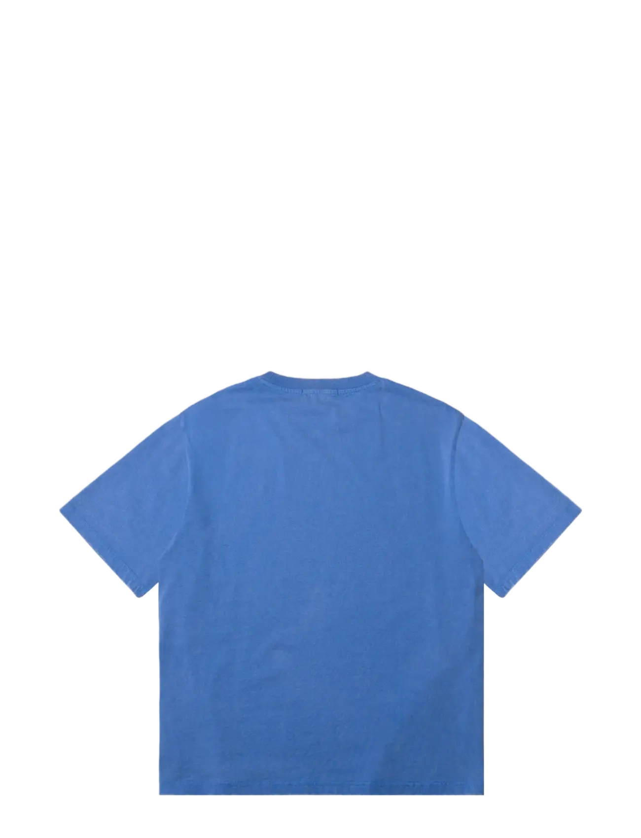 DEYS - Lawndale Print T-shirt - lühikeste varrukatega t-särgid - washed blue - 2
