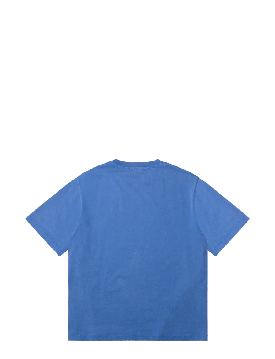DEYS - Lawndale Print T-shirt - lühikeste varrukatega t-särgid - washed blue - 2