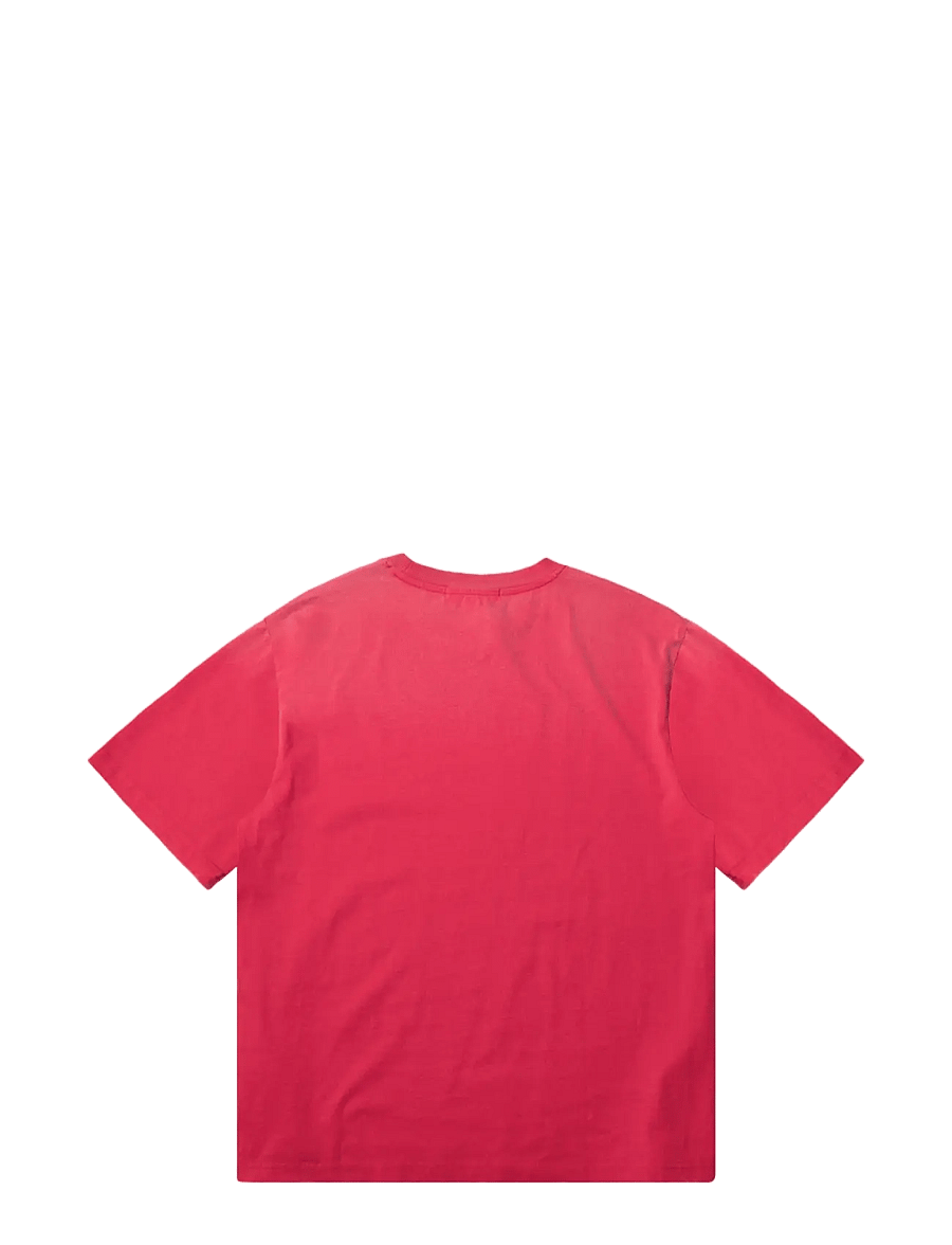 DEYS - Brentwood Print T-Shirt - lühikeste varrukatega t-särgid - washed red - 2