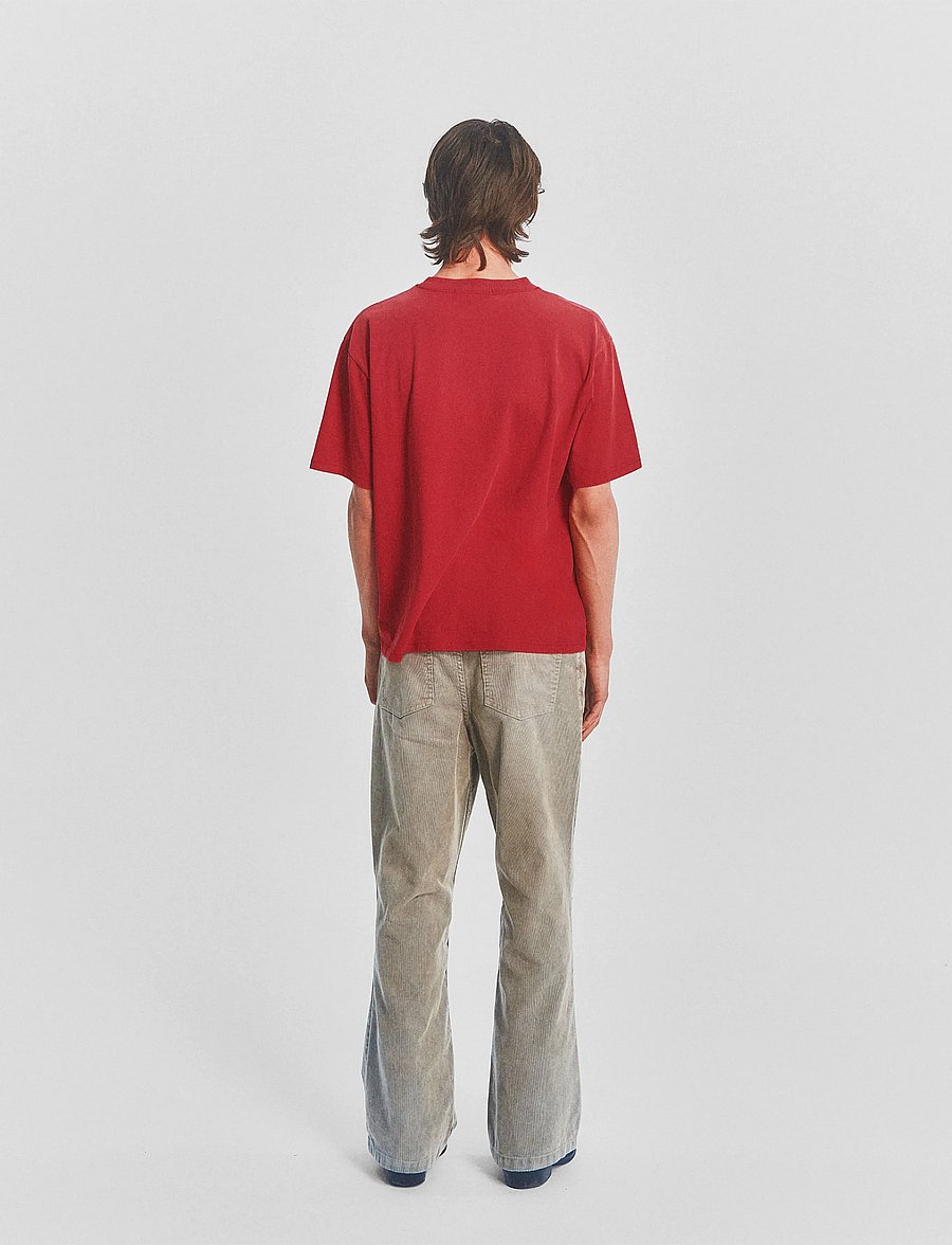DEYS - Brentwood Print T-Shirt - lühikeste varrukatega t-särgid - washed red - 3