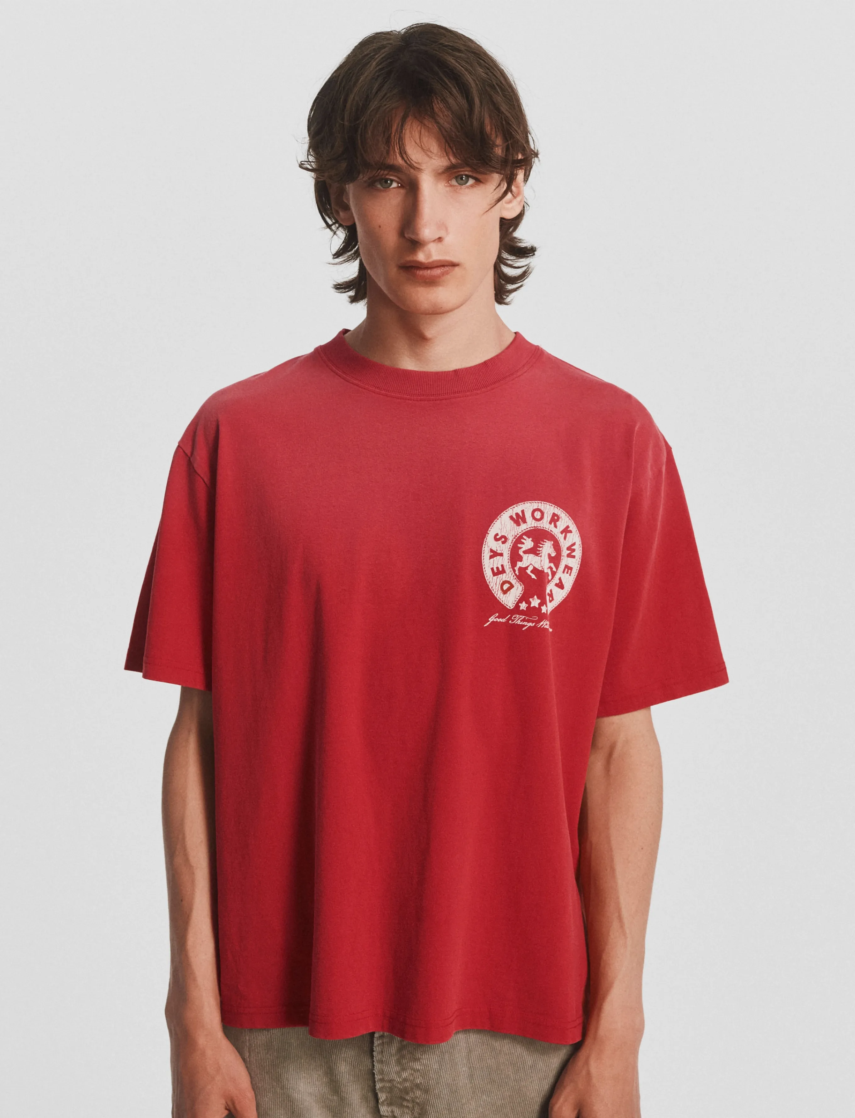 DEYS Brentwood Print T-Shirt herr – bild 3