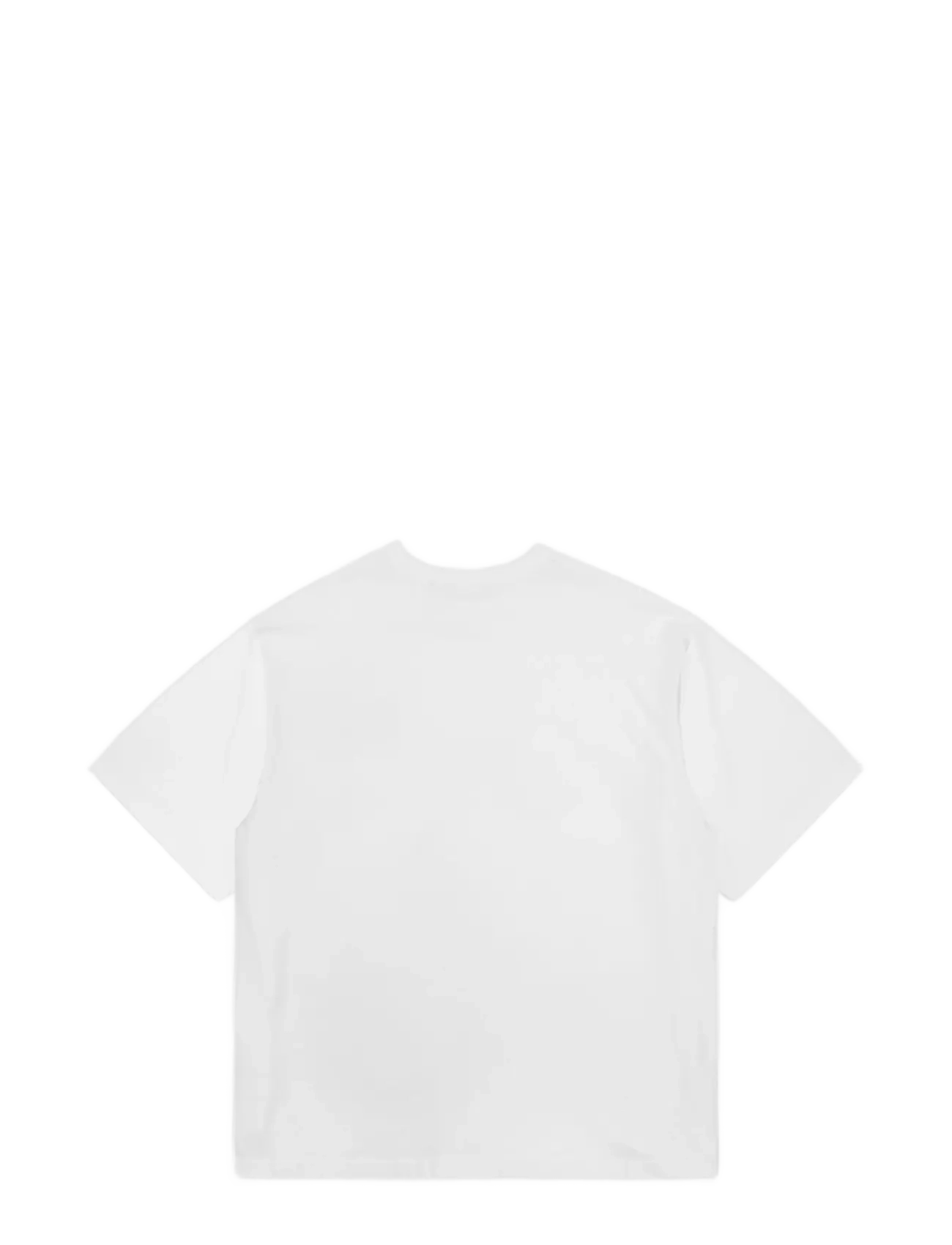 DEYS - Moreno Print T-shirt - white - 2