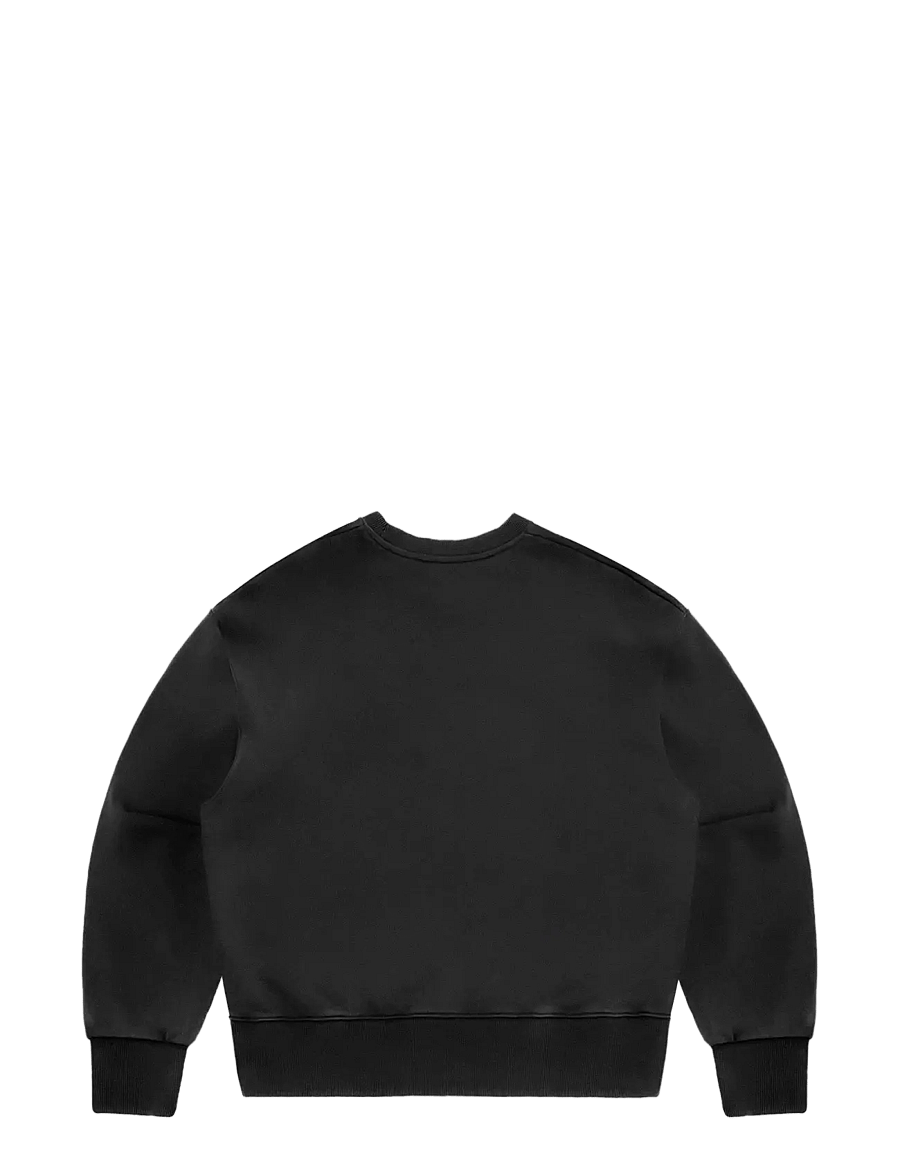 DEYS - Lawndale Crewneck Sweatshirt - dressipluusid - washed black - 2