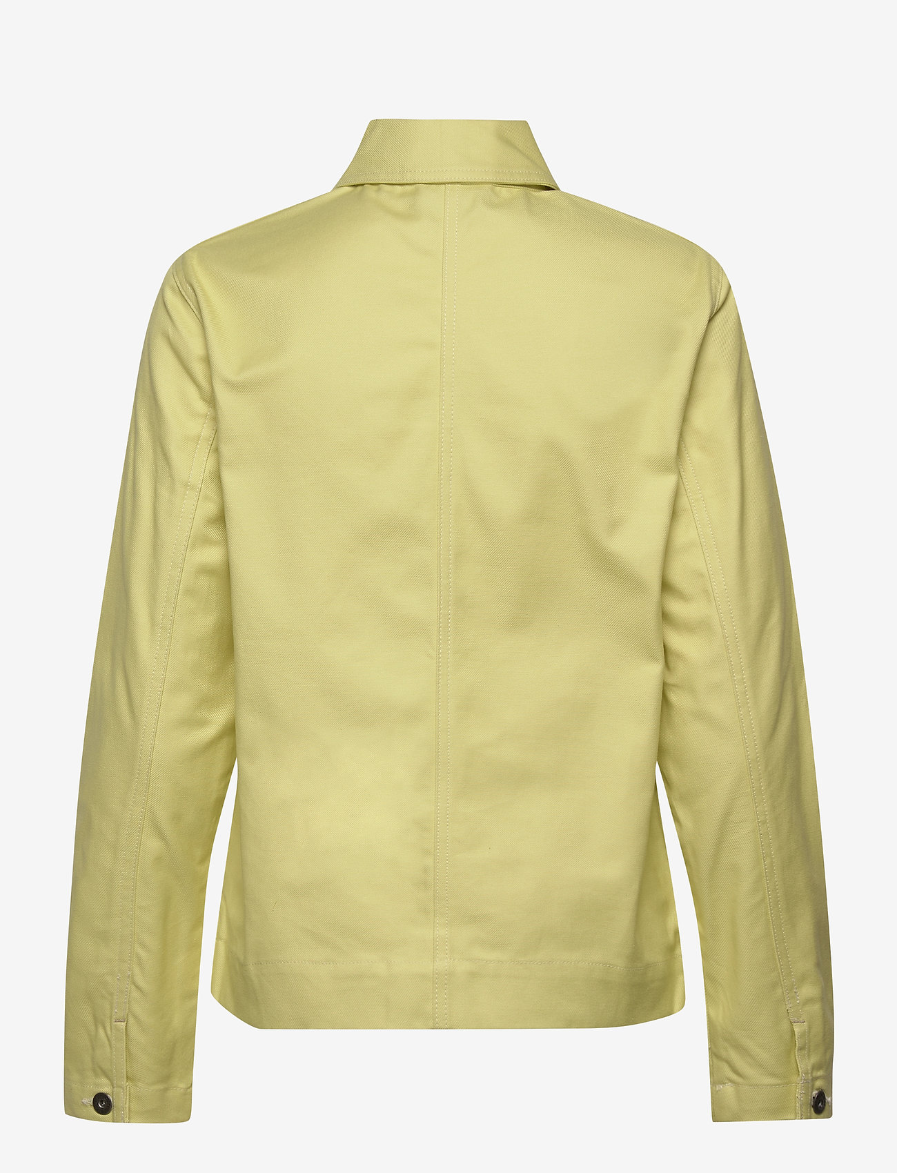 Dickies - TOCCOA - efterårstøj - mellow green - 1