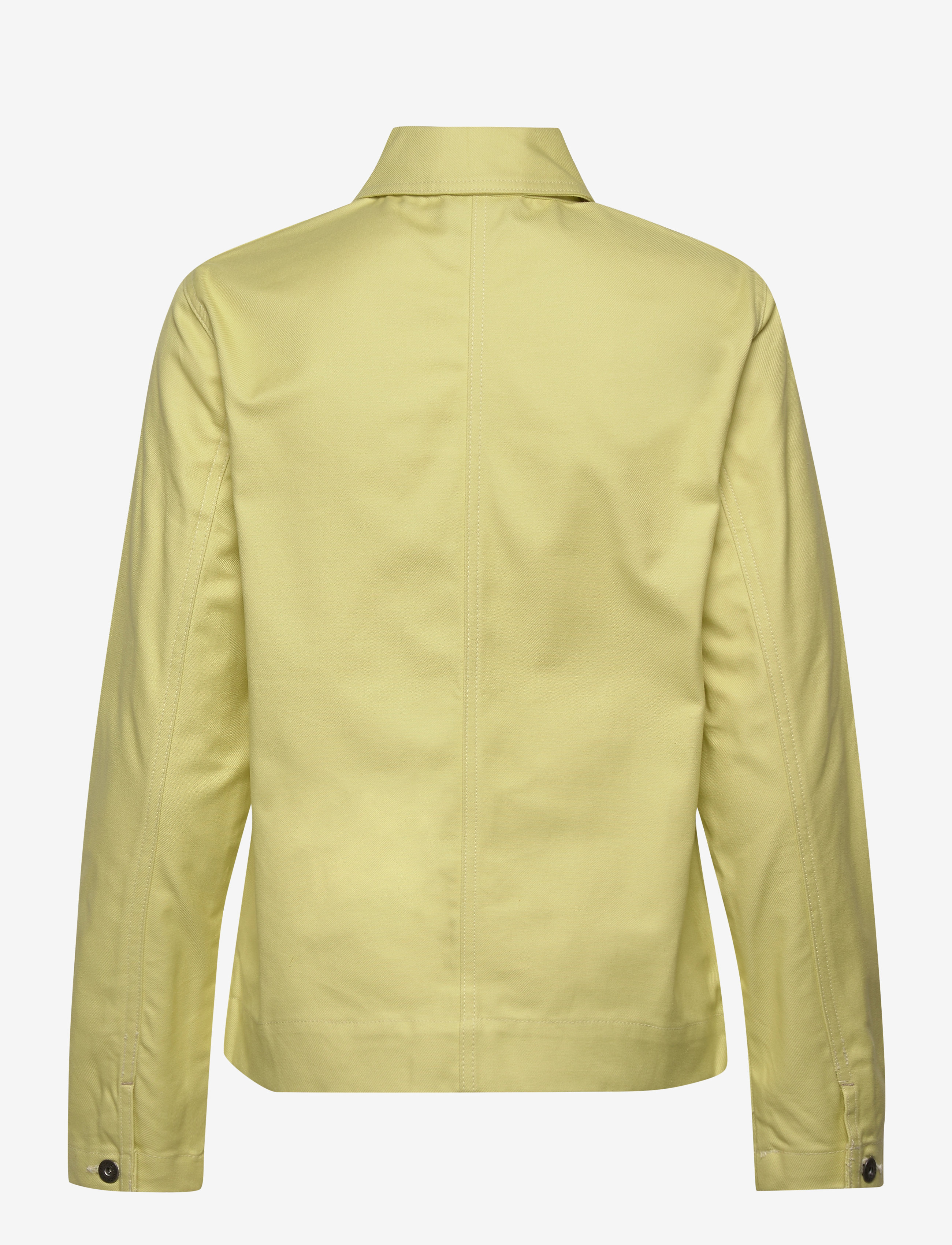 Dickies - TOCCOA WOMENS JACKET - naised - mellow green - 1