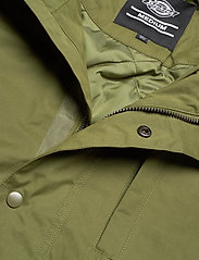 Dickies - OLLA - winter jackets - army green - 2