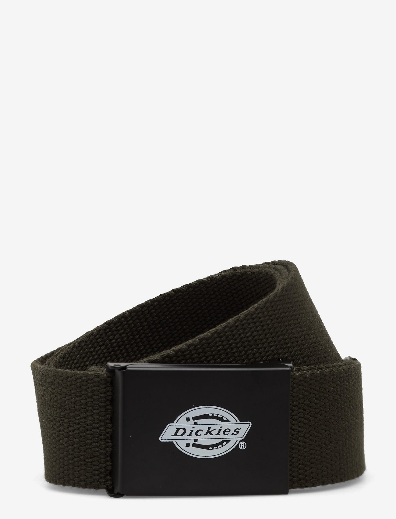 Dickies - ORCUTT  WEBBING BELT - klassisch gürtel - olive green - 0