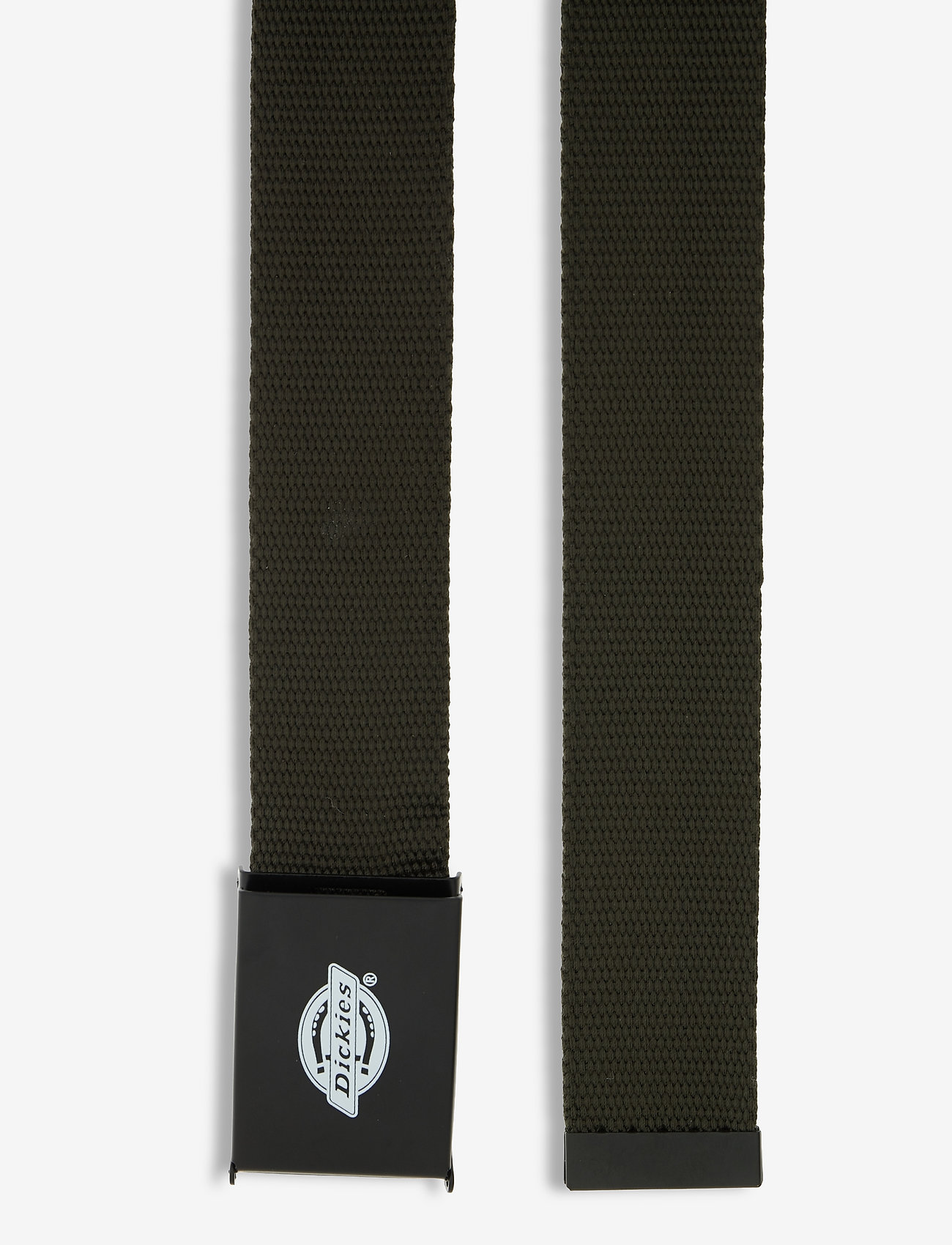 Dickies - ORCUTT  WEBBING BELT - klassisch gürtel - olive green - 1