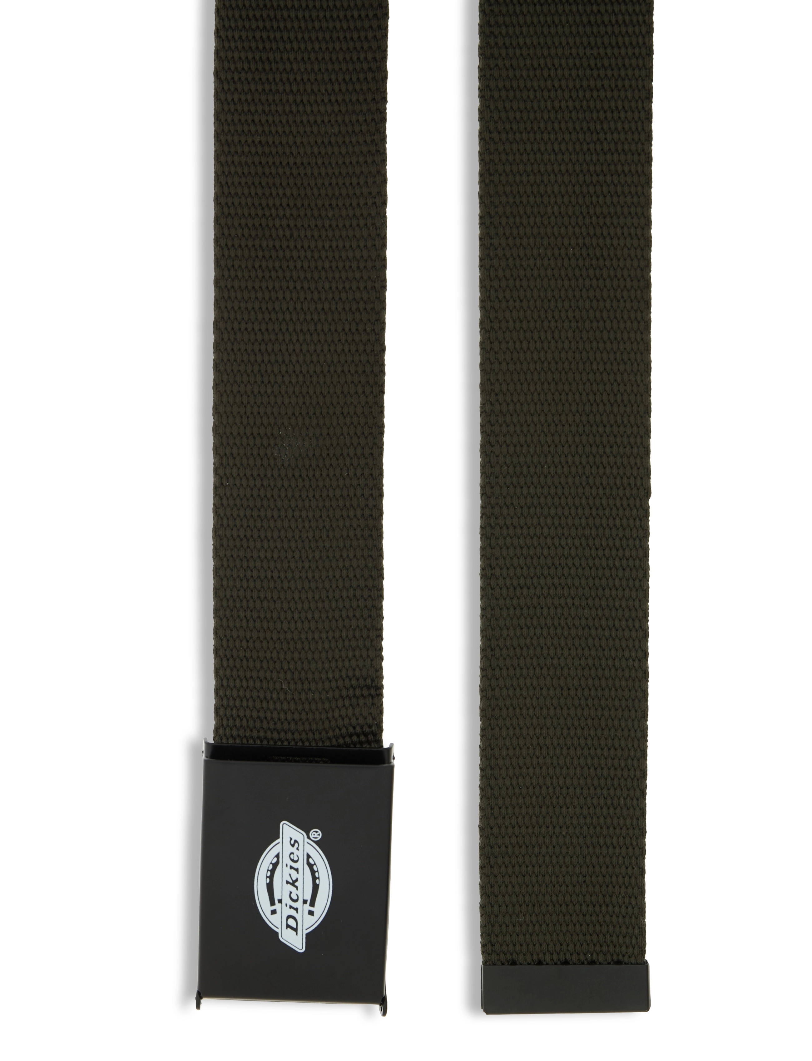 Dickies - ORCUTT  WEBBING BELT - klassisch gürtel - olive green - 1
