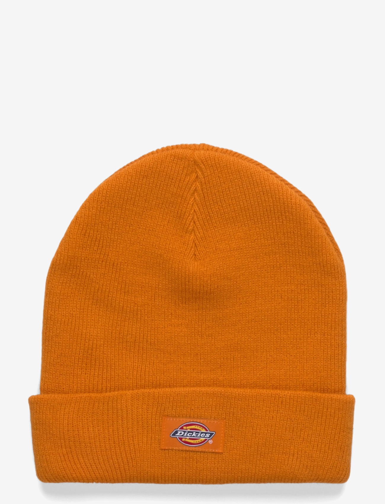 Dickies - GIBSLAND BEANIE - caps - autumn maple - 0