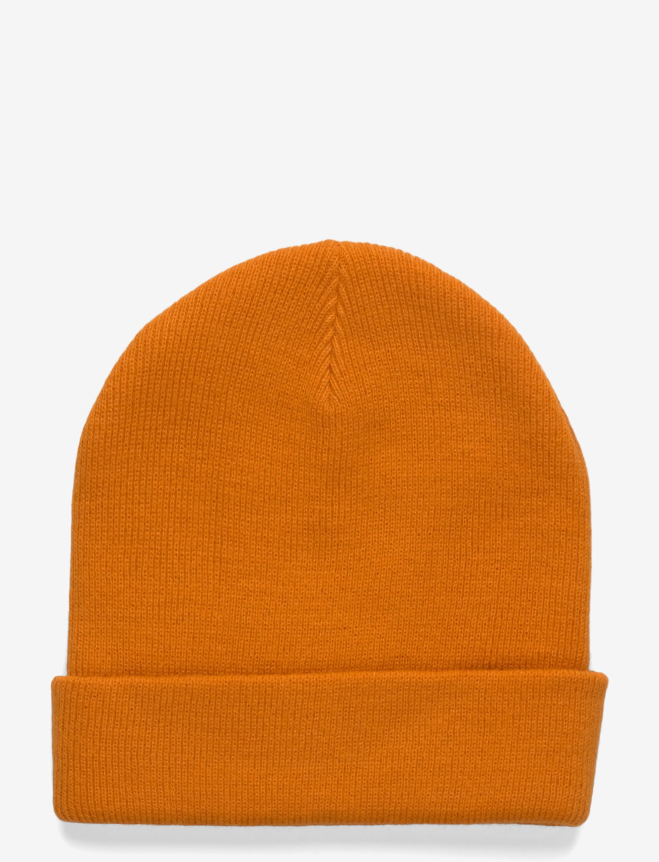 Dickies - GIBSLAND BEANIE - caps - autumn maple - 1