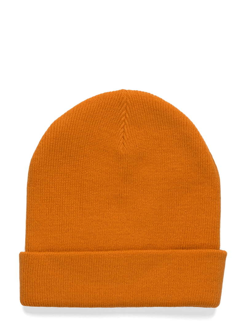 Dickies - M GIBSLAND BEANIE - kappen - autumn maple - 1