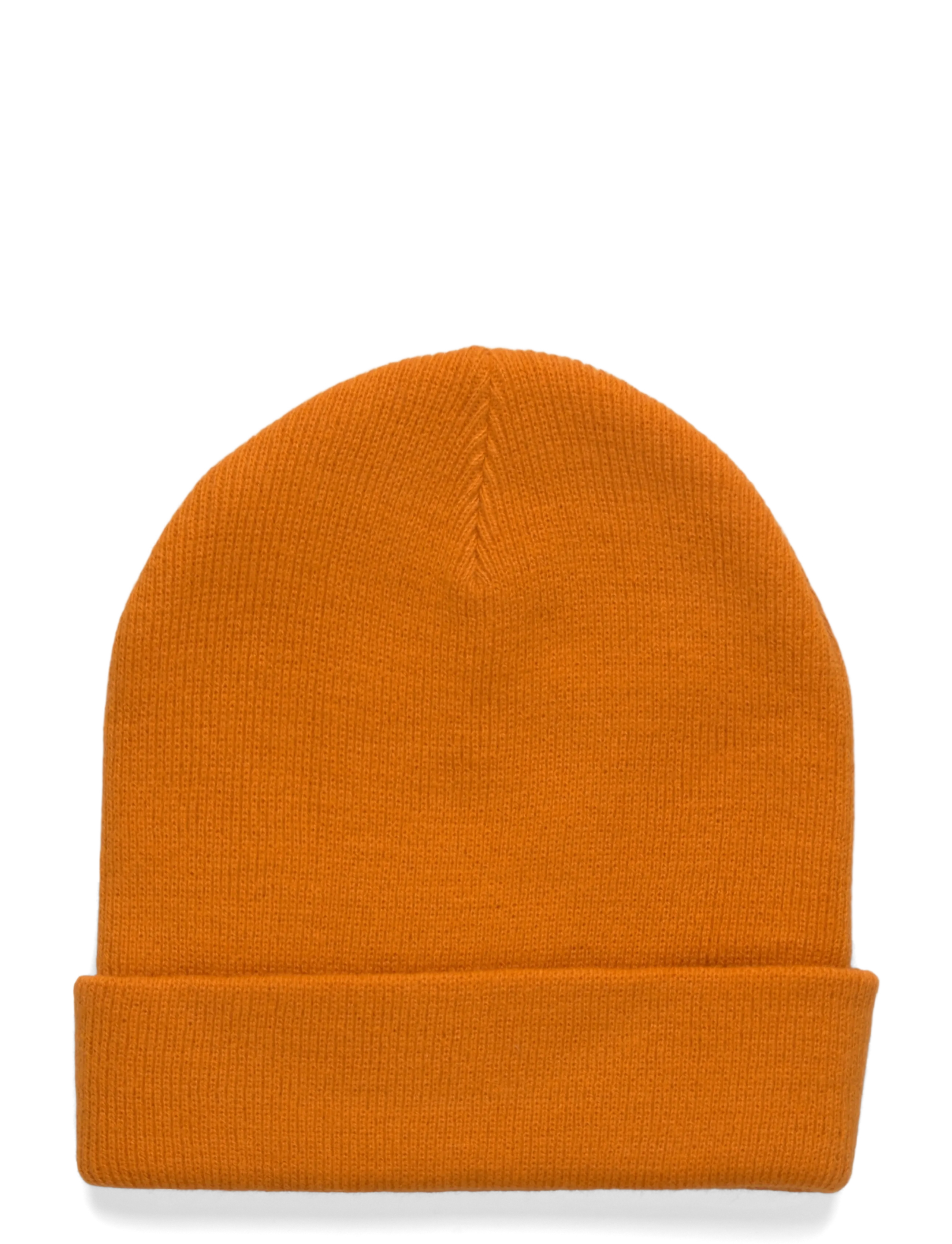 Dickies - M GIBSLAND BEANIE - accessoires - autumn maple - 1