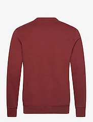 Dickies - AITKIN SWEATSHIRT - sweatshirts - grey/fired brick - 1