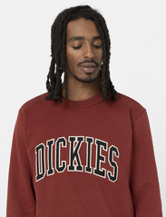 Dickies - AITKIN SWEATSHIRT - sweatshirts - grey/fired brick - 4