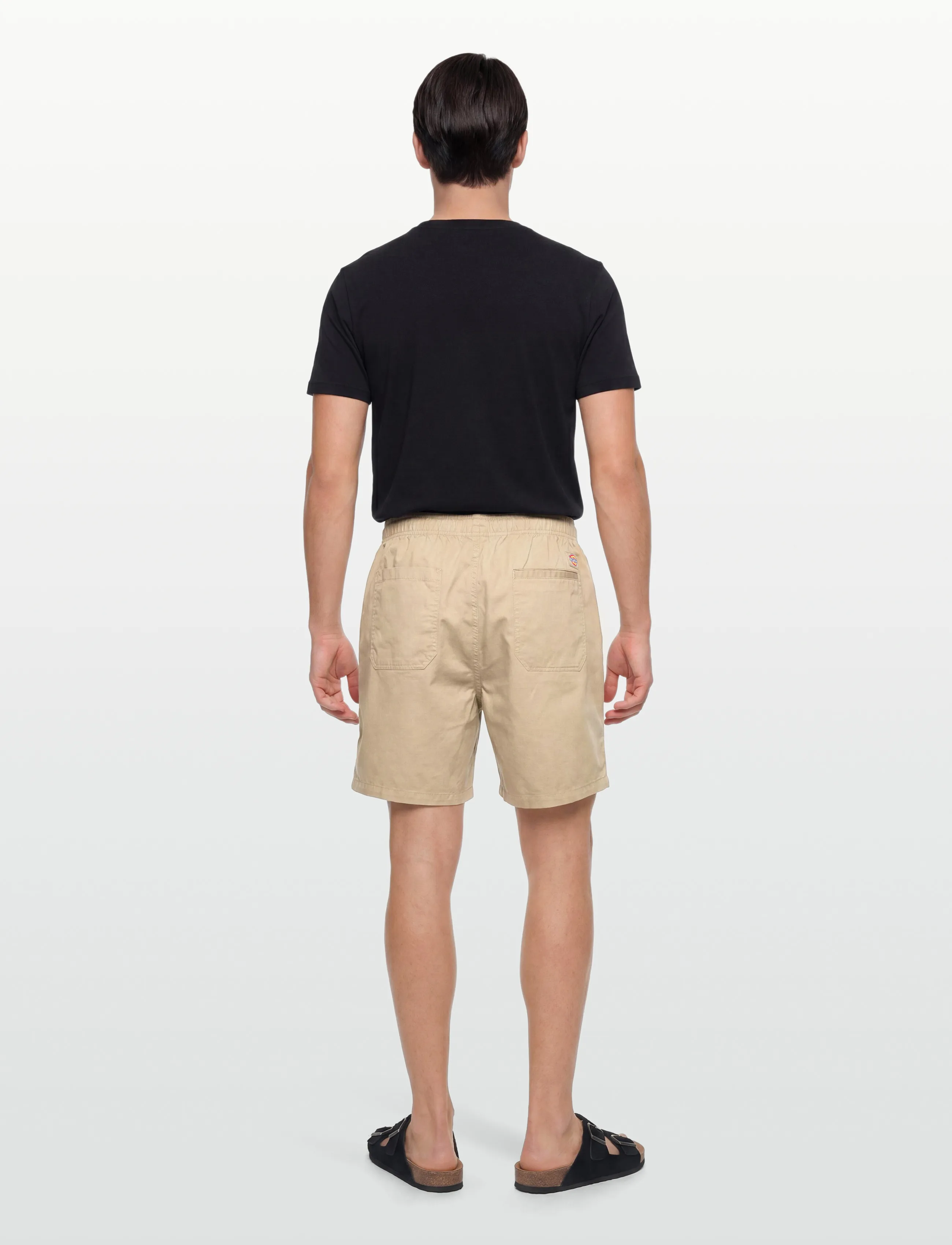 Dickies - PELICAN RAPIDS - lühikesed vabaajapüksid - desert sand - 4