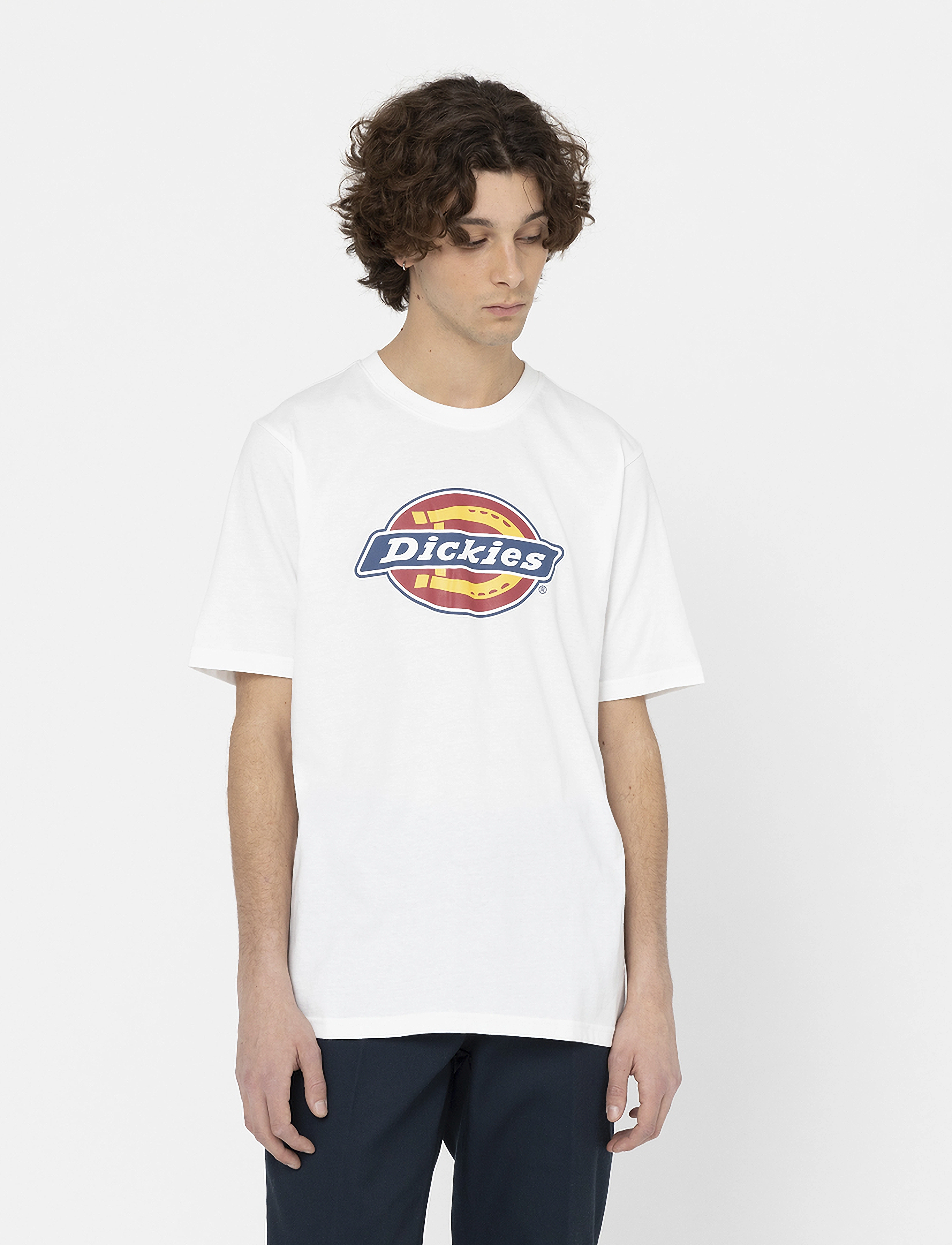 Dickies Icon Logo Tee, L, White, T-Shirts > Kortærmede, Herre