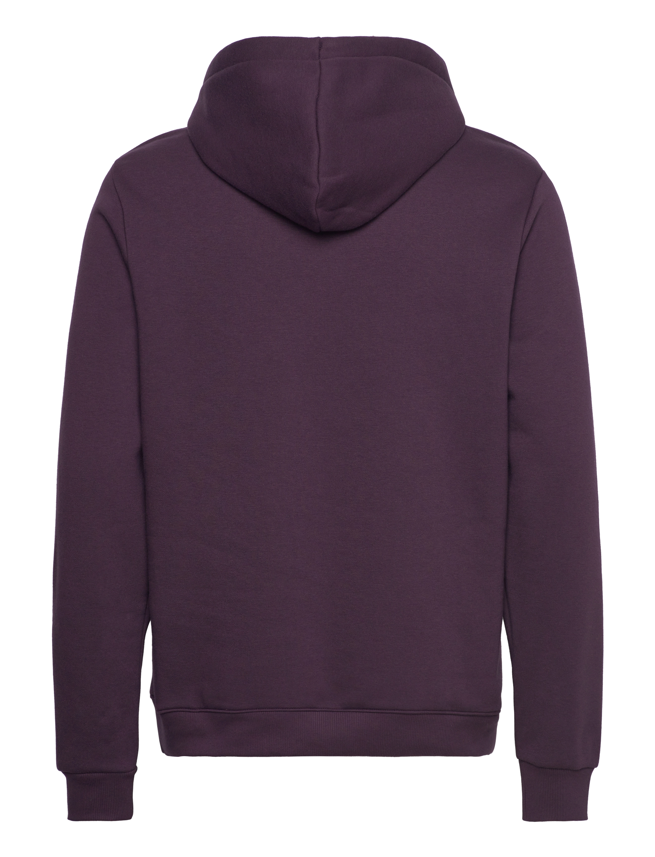 Dickies - ICON LOGO HOODIE - plum perfect - 1