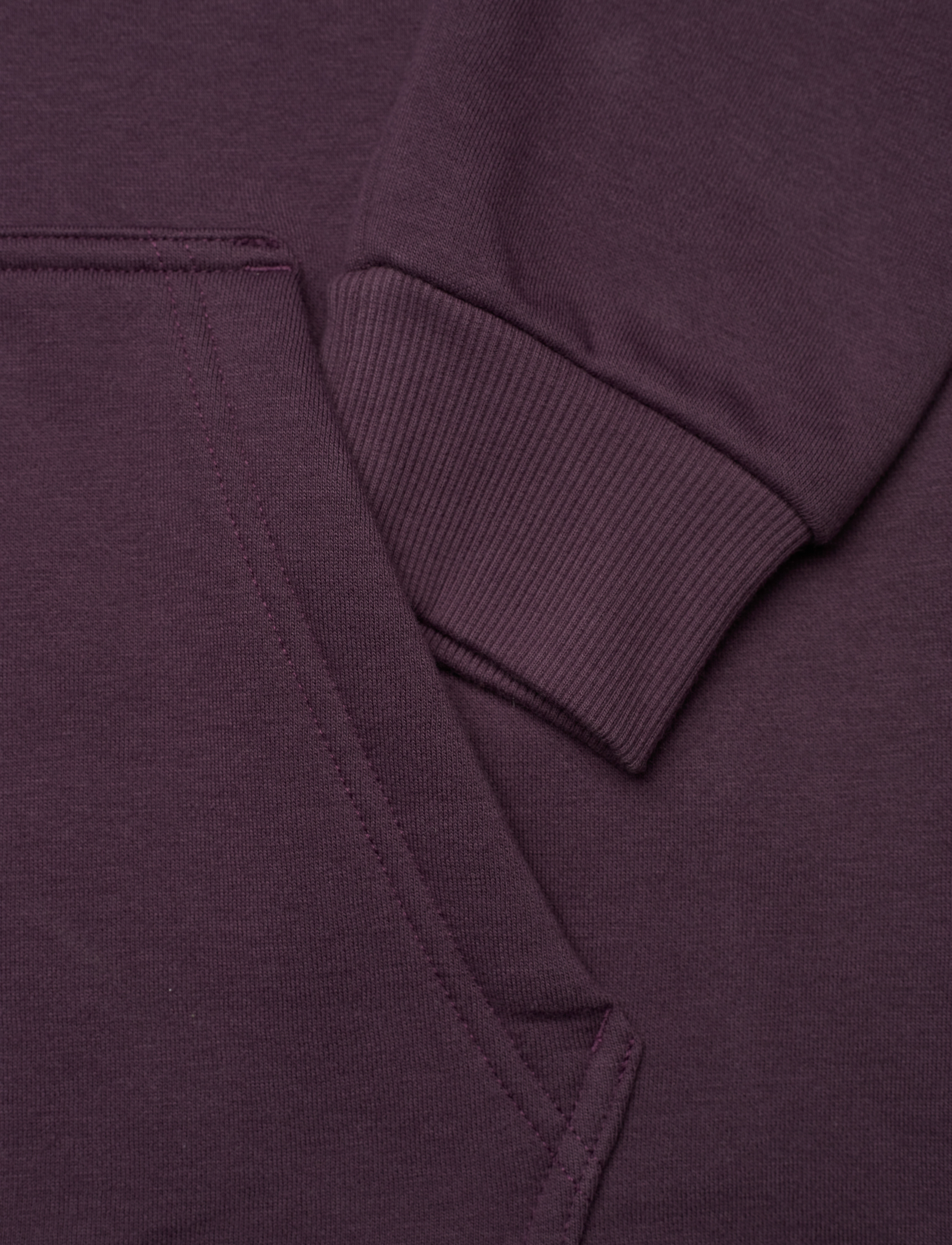 Dickies - ICON LOGO HOODIE - plum perfect - 3