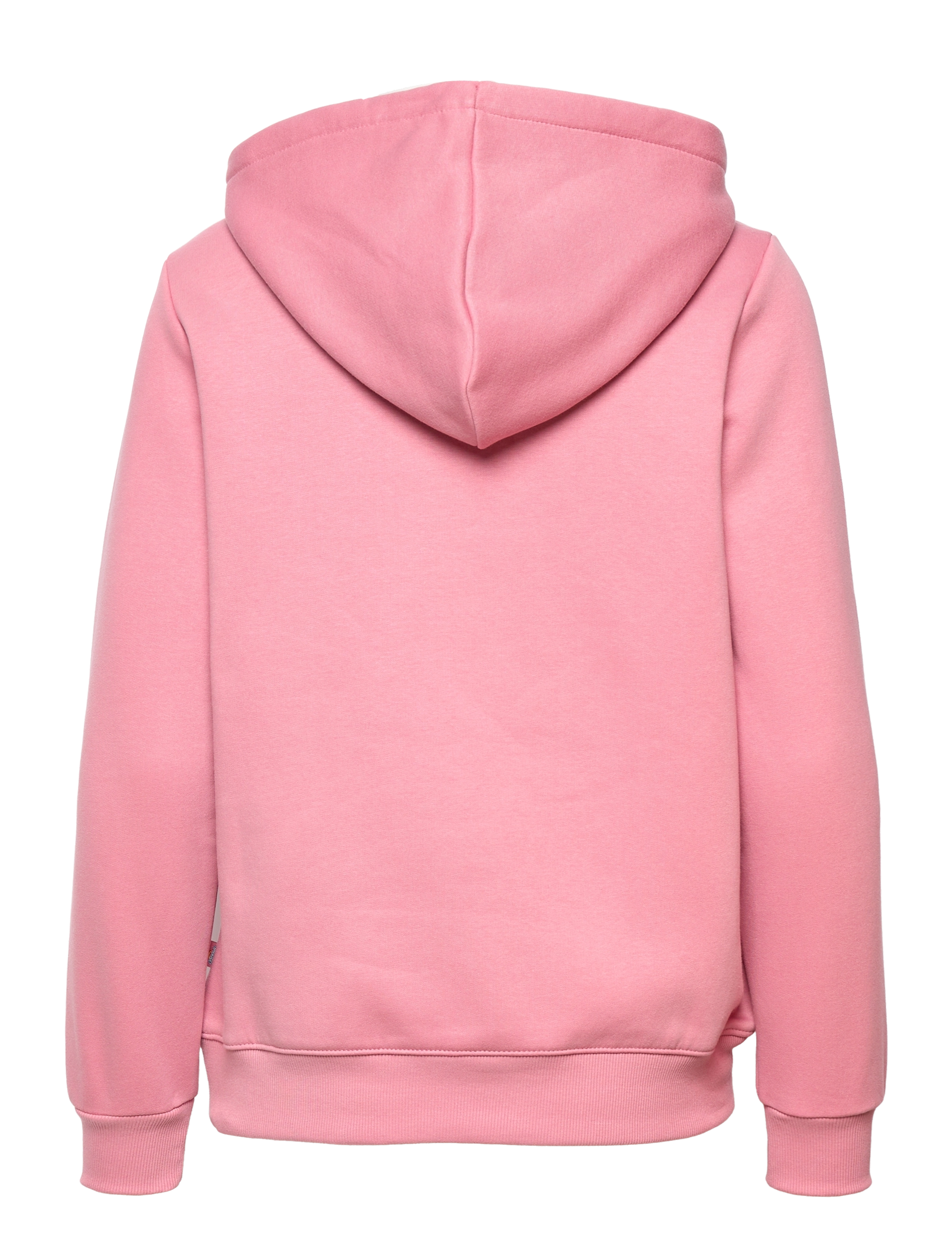 Dickies - ICON LOGO HOODIE W - foxglove - 1