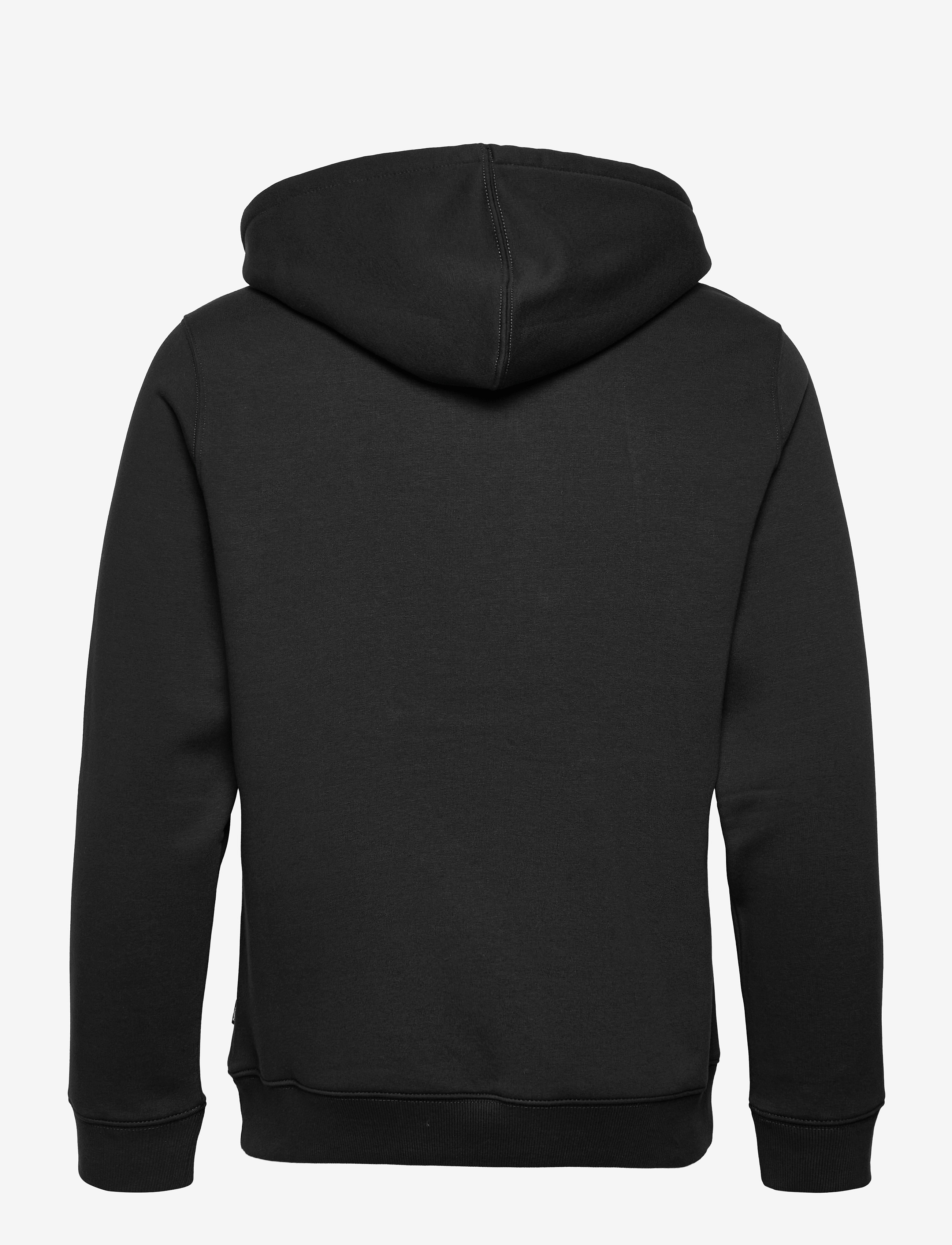 Dickies - OAKPORT HOODIE - hoodies - black - 2