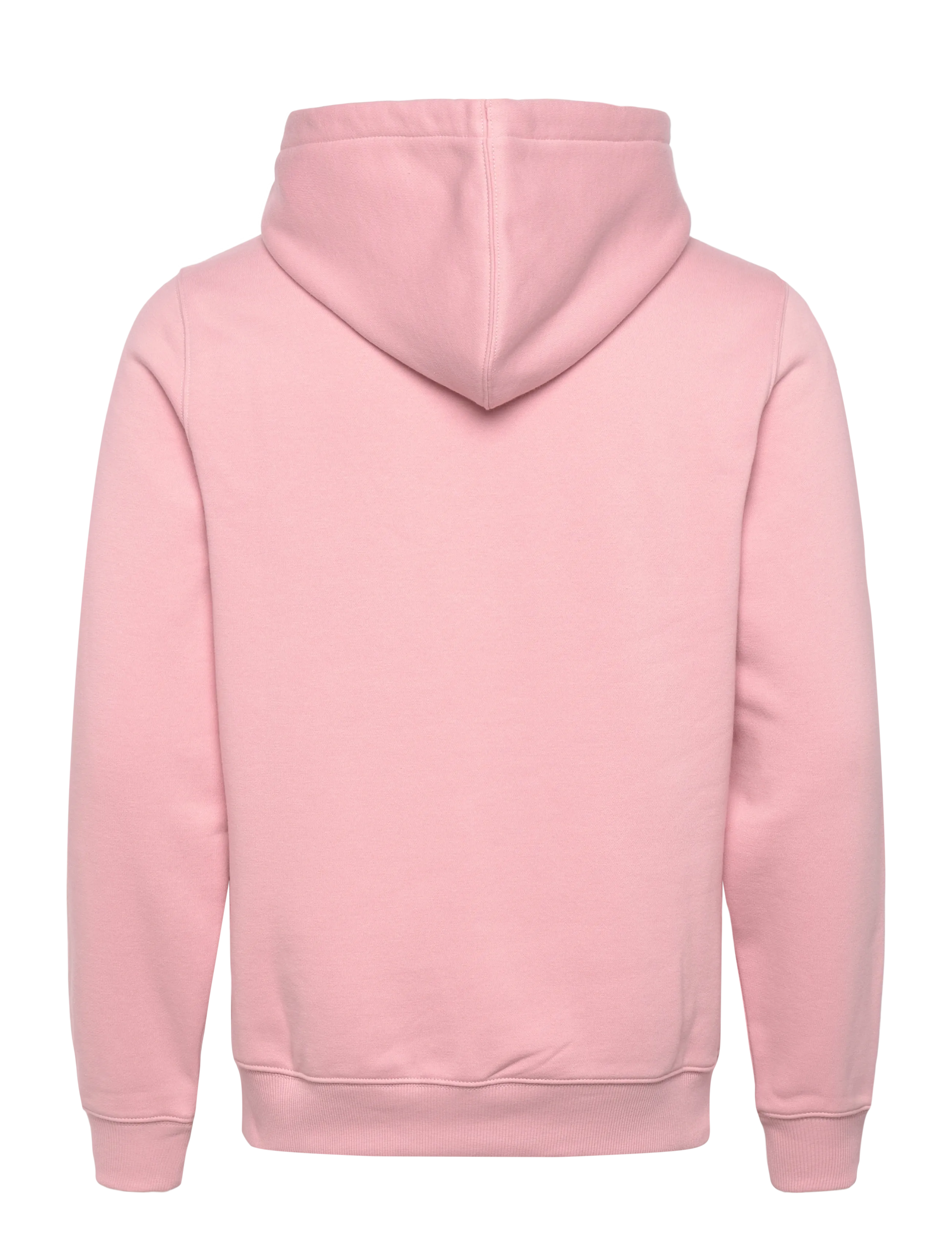 Dickies - OAKPORT HOODIE - kapuutsiga dressipluusid - bridal rose - 2
