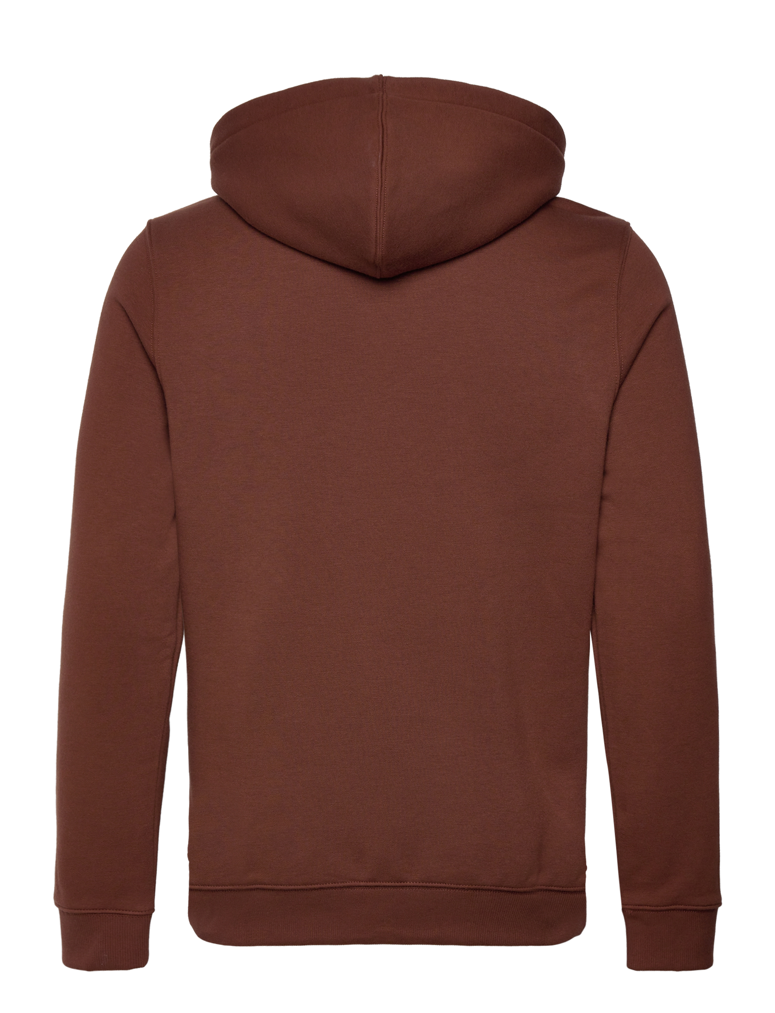 Dickies - OAKPORT HOODIE - sweatshirts - cappuccino - 1