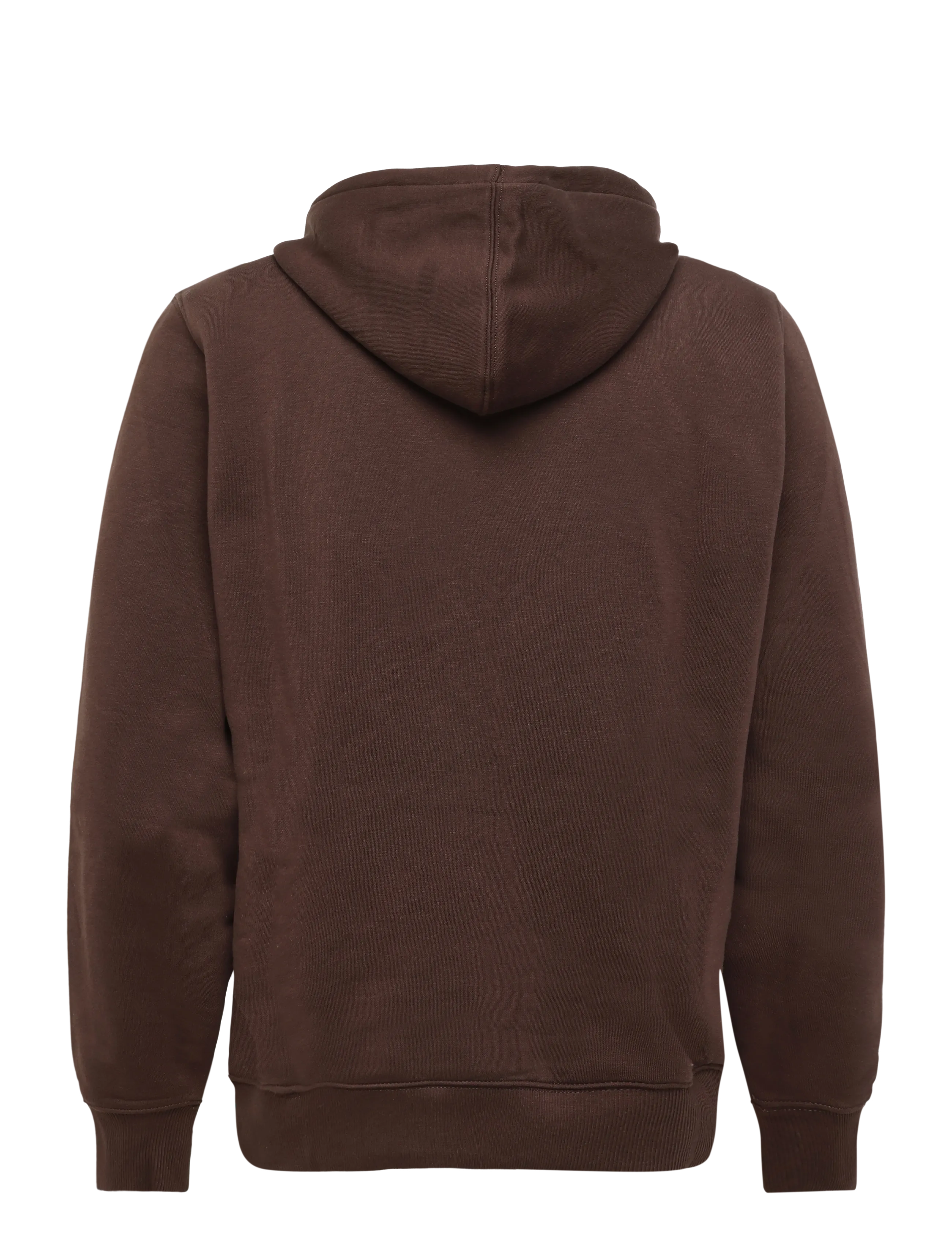 Dickies - OAKPORT HOODIE - kapuzenpullover - chocolate brown - 1